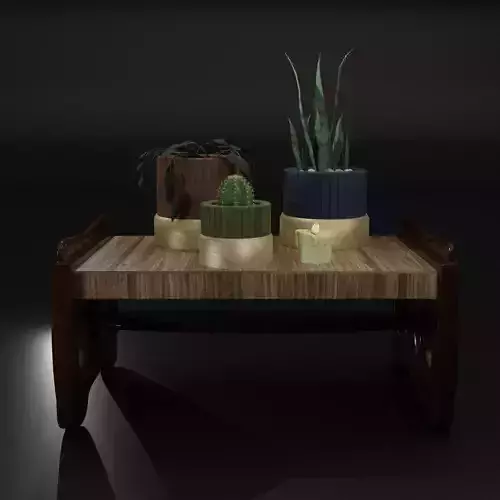 The table on which there are flowers in pots and a candle