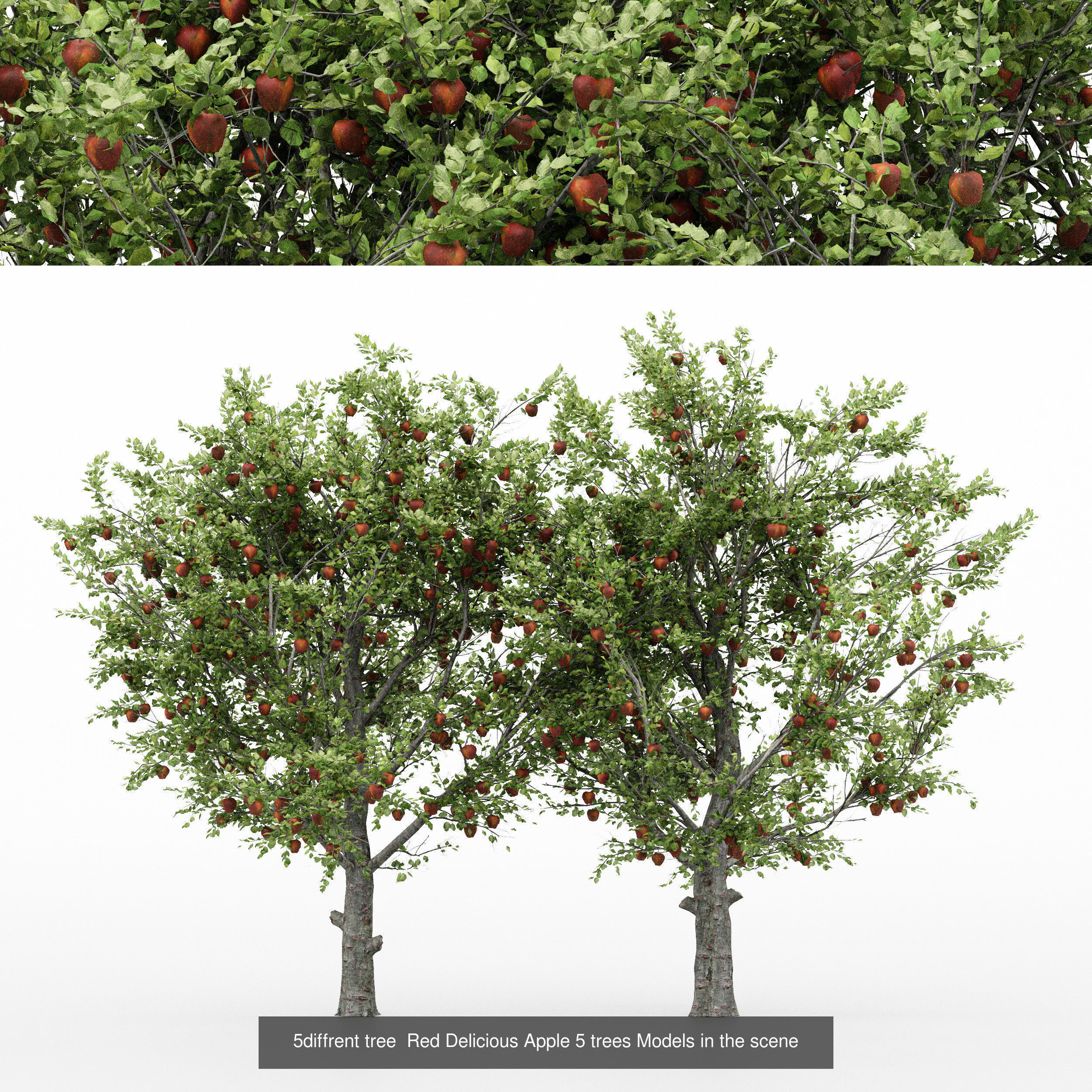 10 Different SETS Of Fruit Tree SET VOL09 3D Model Collection_6