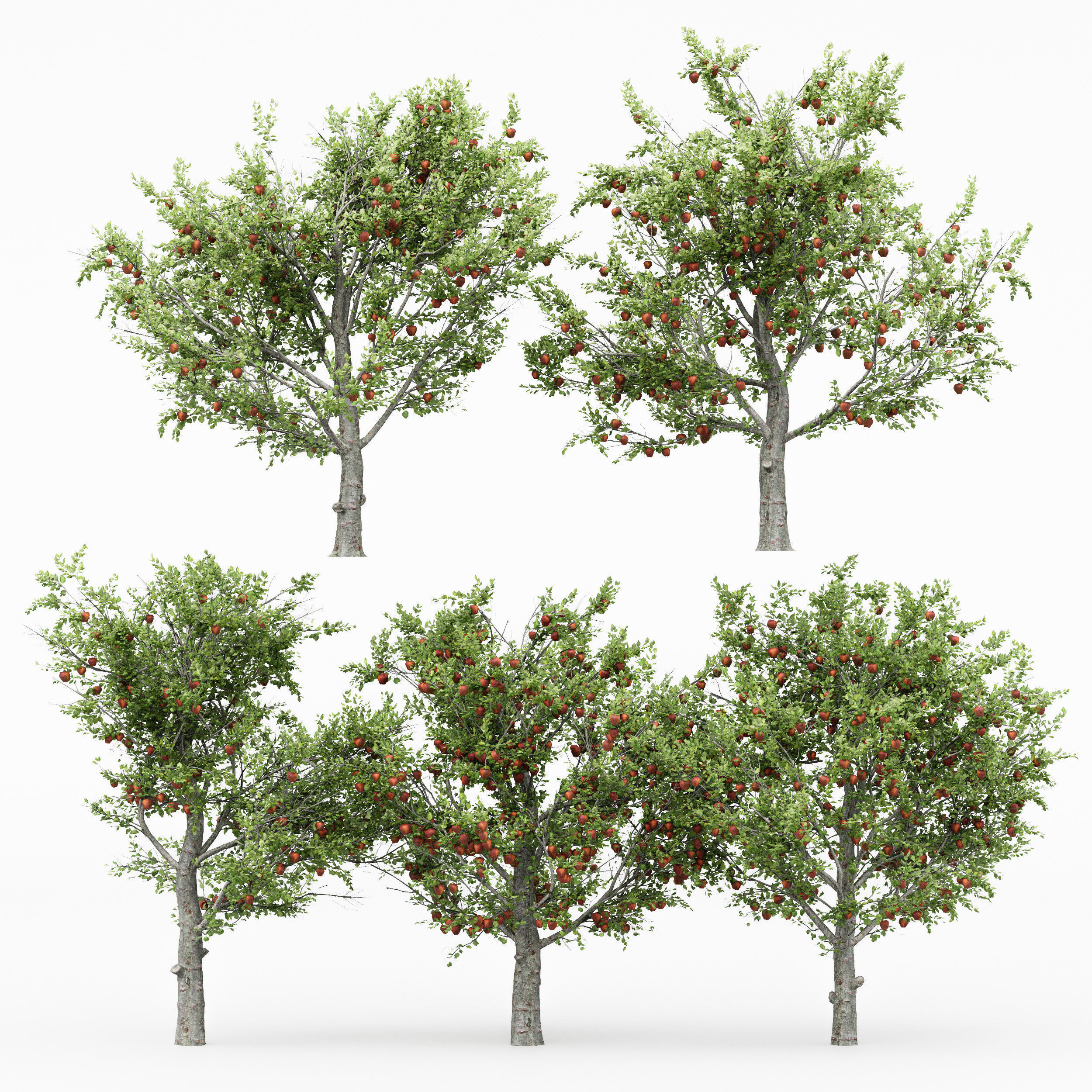 10 Different SETS Of Fruit Tree SET VOL09 3D Model Collection_22