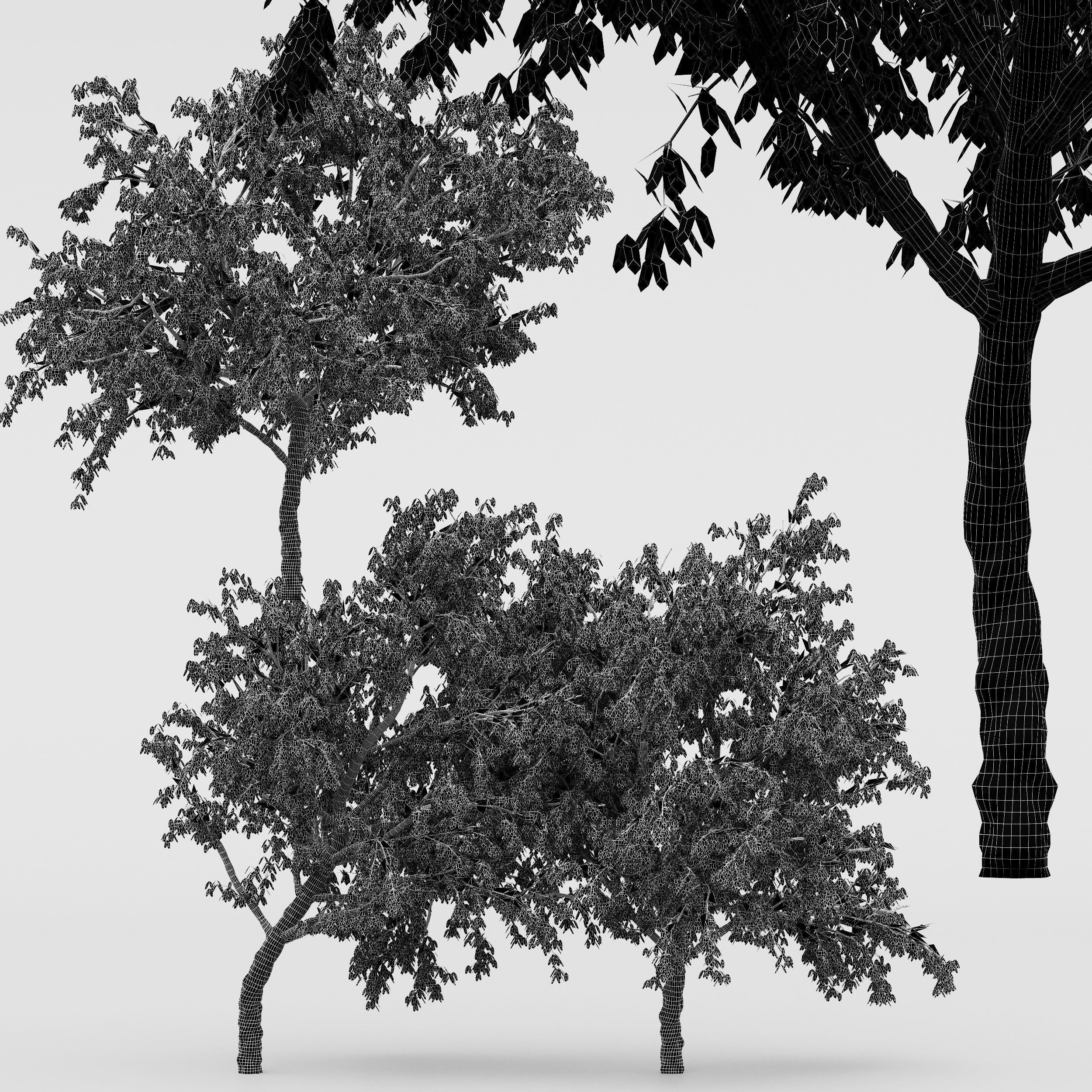 10 Different SETS Of Fruit Tree SET VOL09 3D Model Collection_24