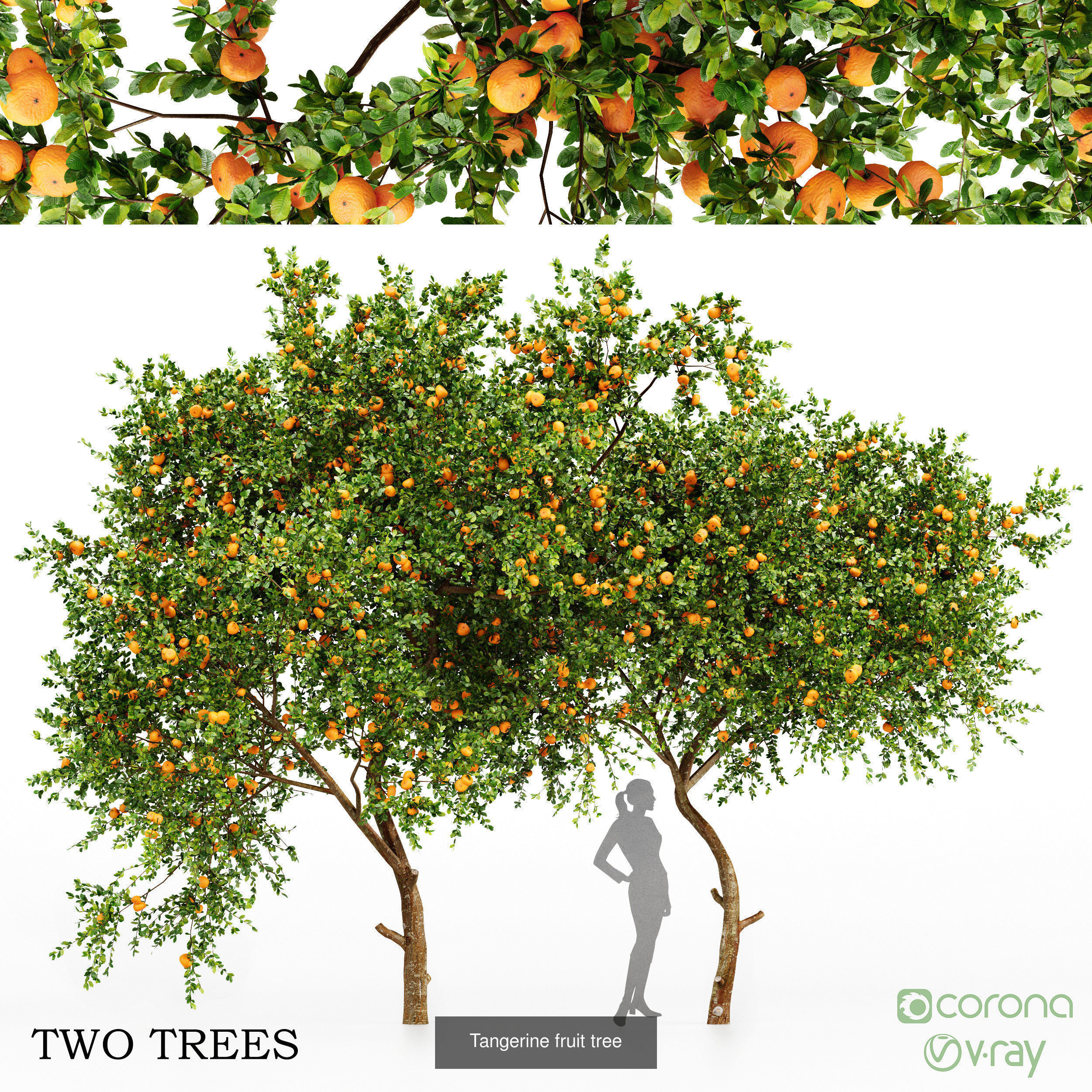 10 Different SETS Of Fruit Tree SET VOL09 3D Model Collection_4