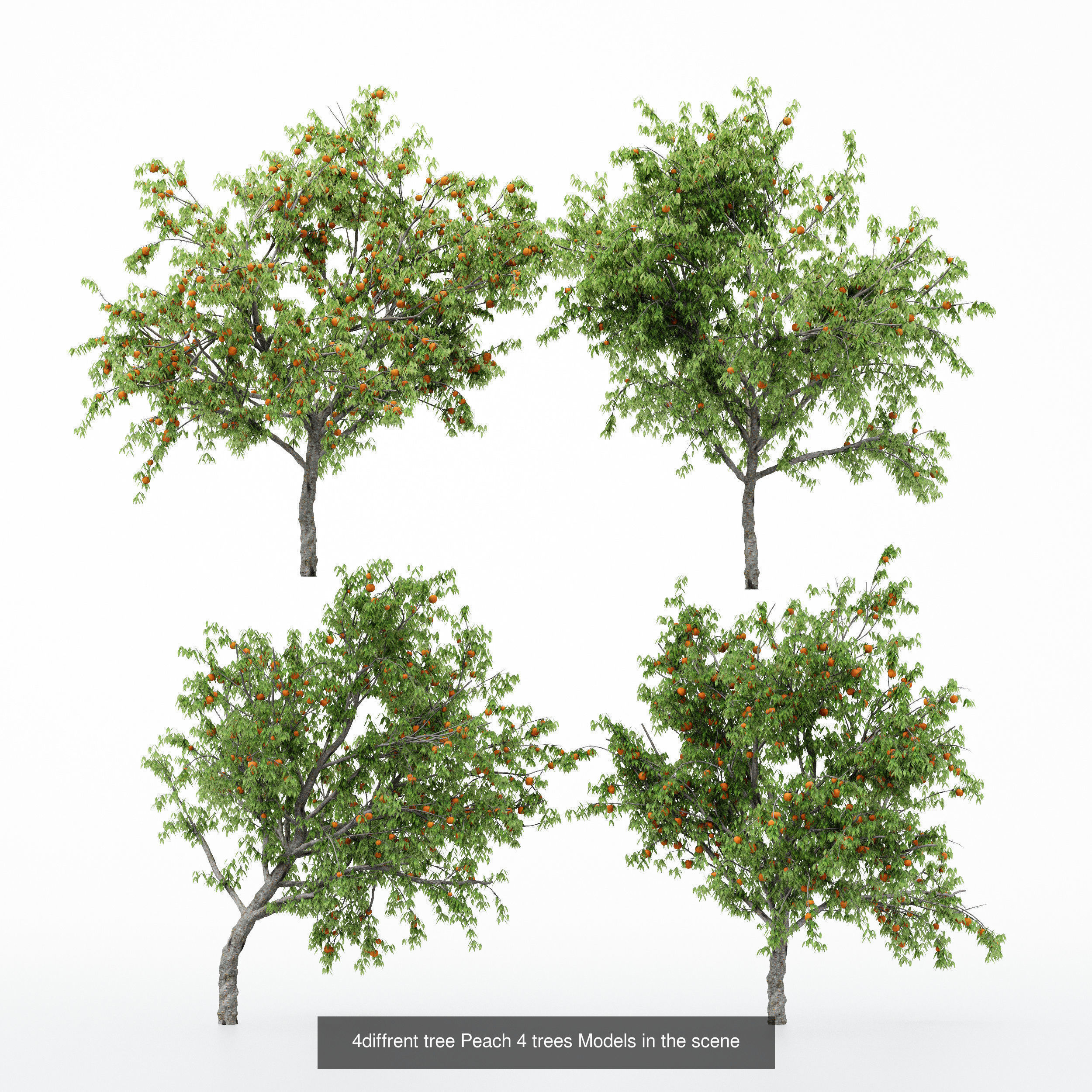 10 Different SETS Of Fruit Tree SET VOL09 3D Model Collection_5