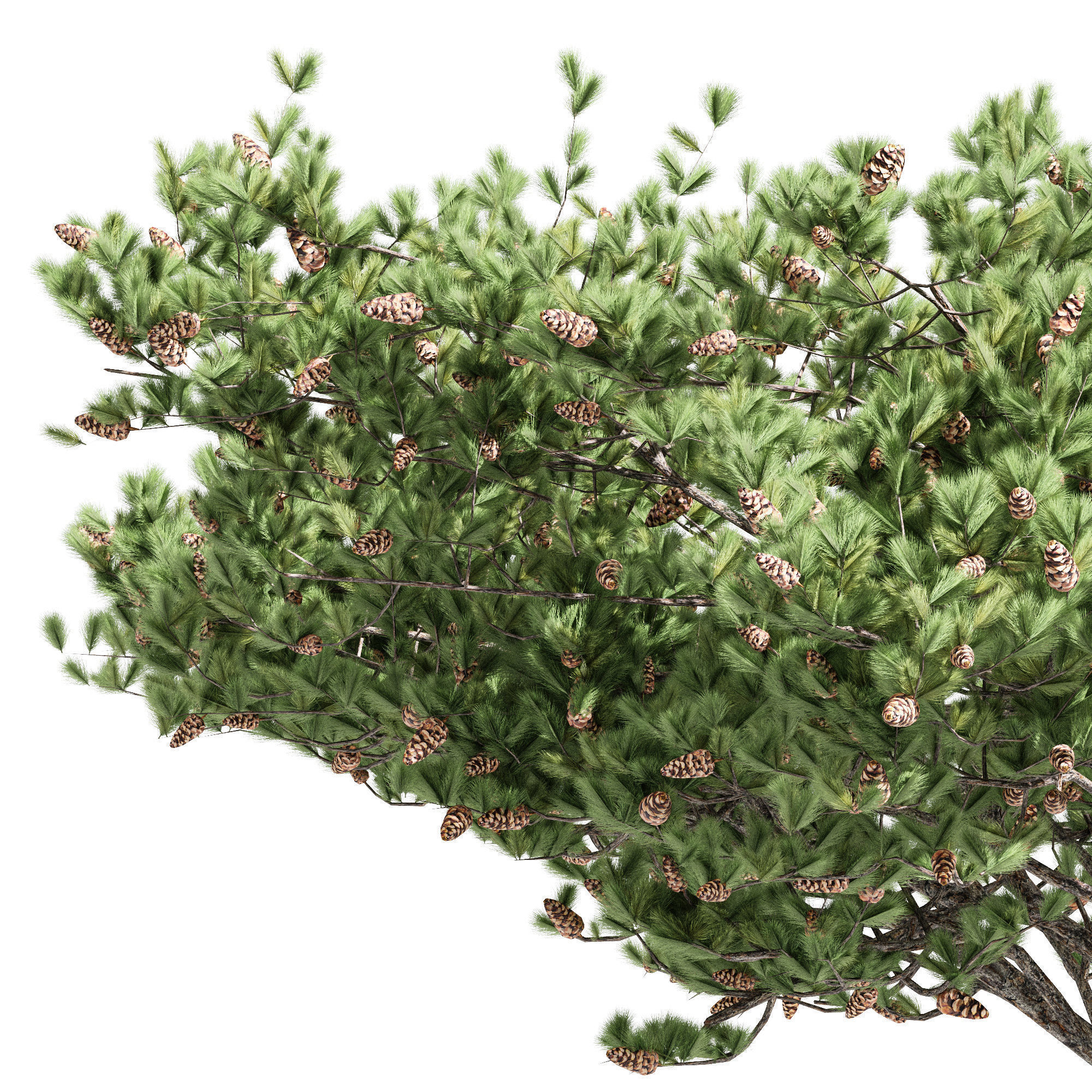 10 Different SETS Of Fruit Tree SET VOL09 3D Model Collection_14