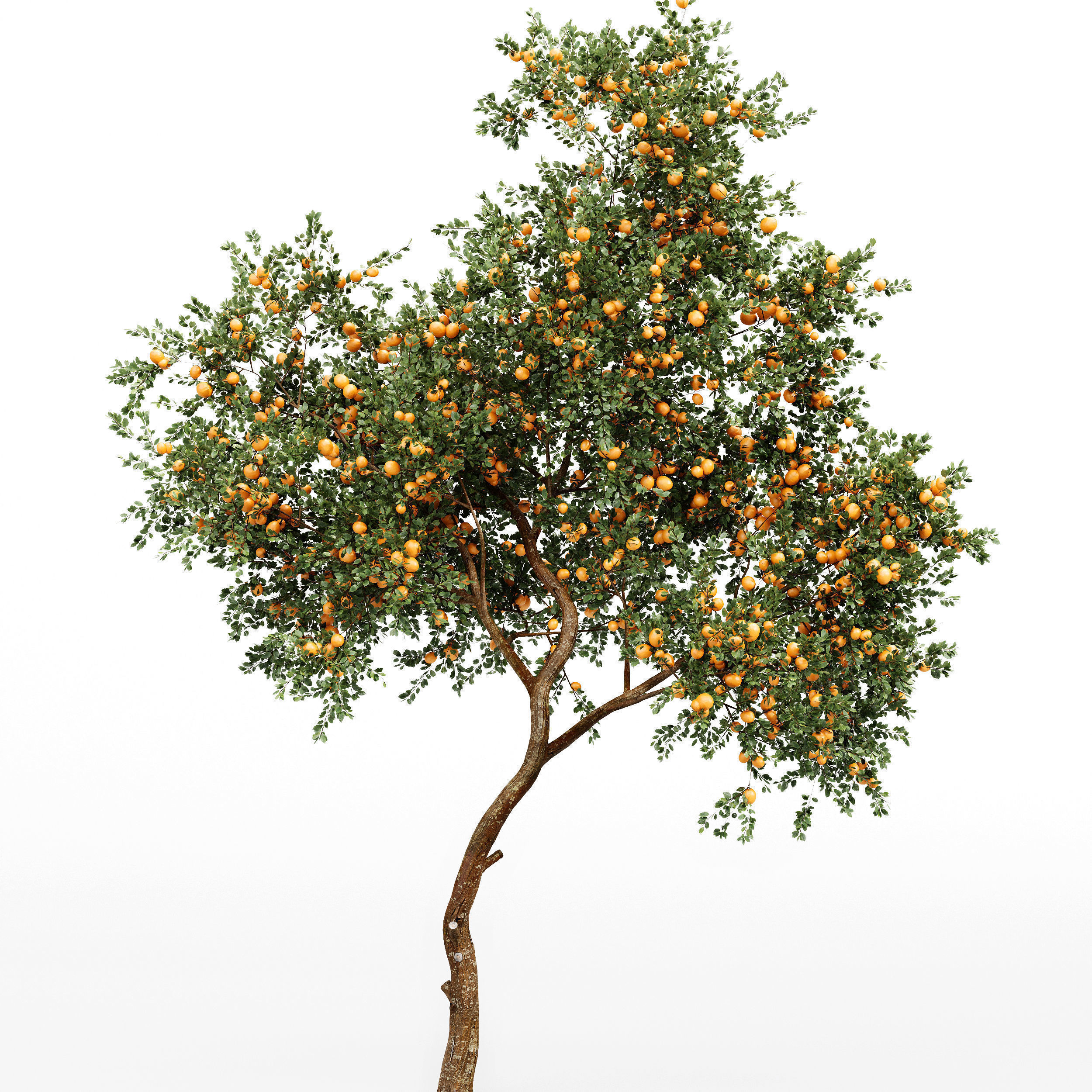 10 Different SETS Of Fruit Tree SET VOL09 3D Model Collection_18