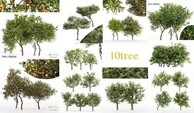 10 Different SETS Of Fruit Tree SET VOL09 3D Model Collection
