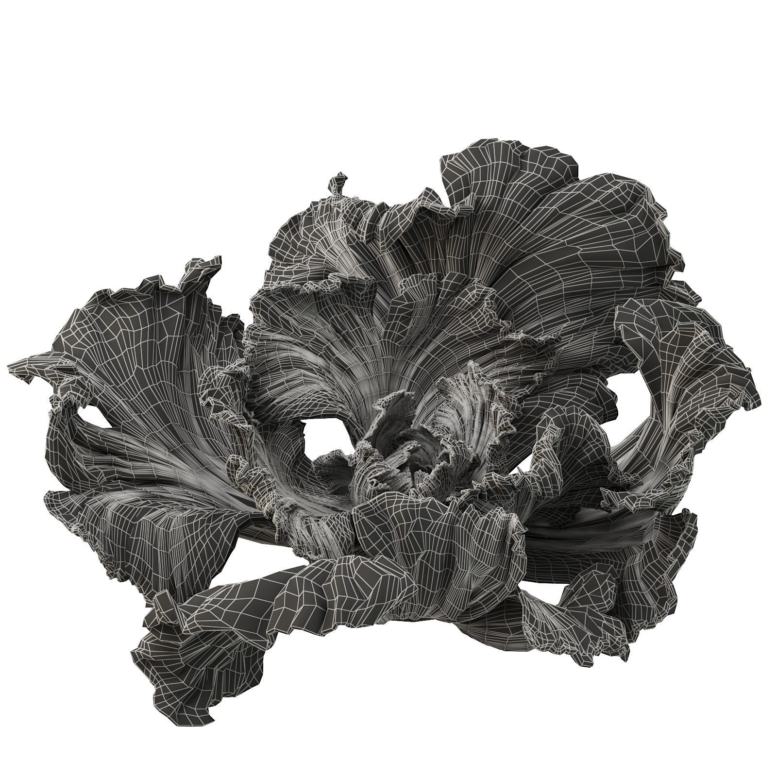 Gypsum flower 3D model_5