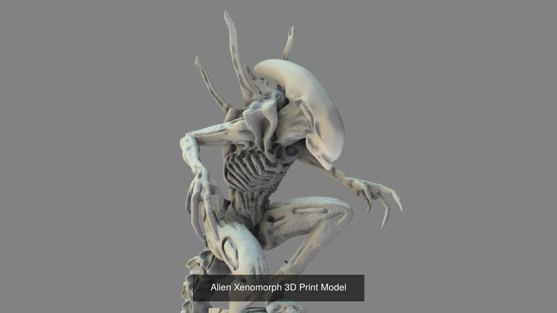 Alien Xenomorph 3D Print Collection  _8