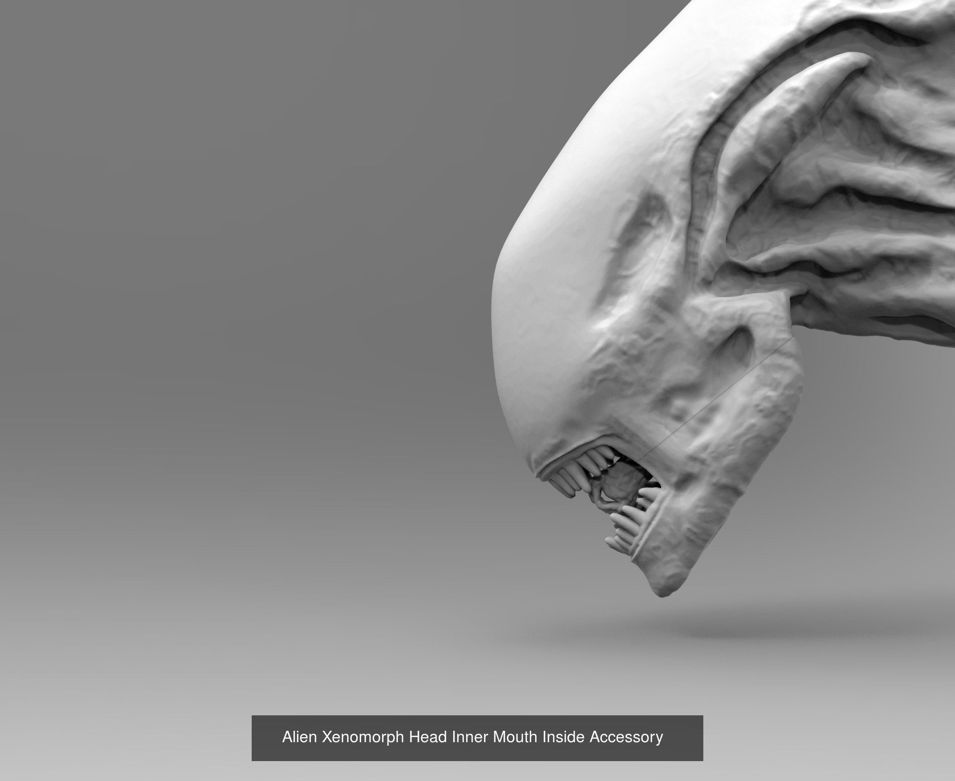 Alien Xenomorph 3D Print Collection  _9