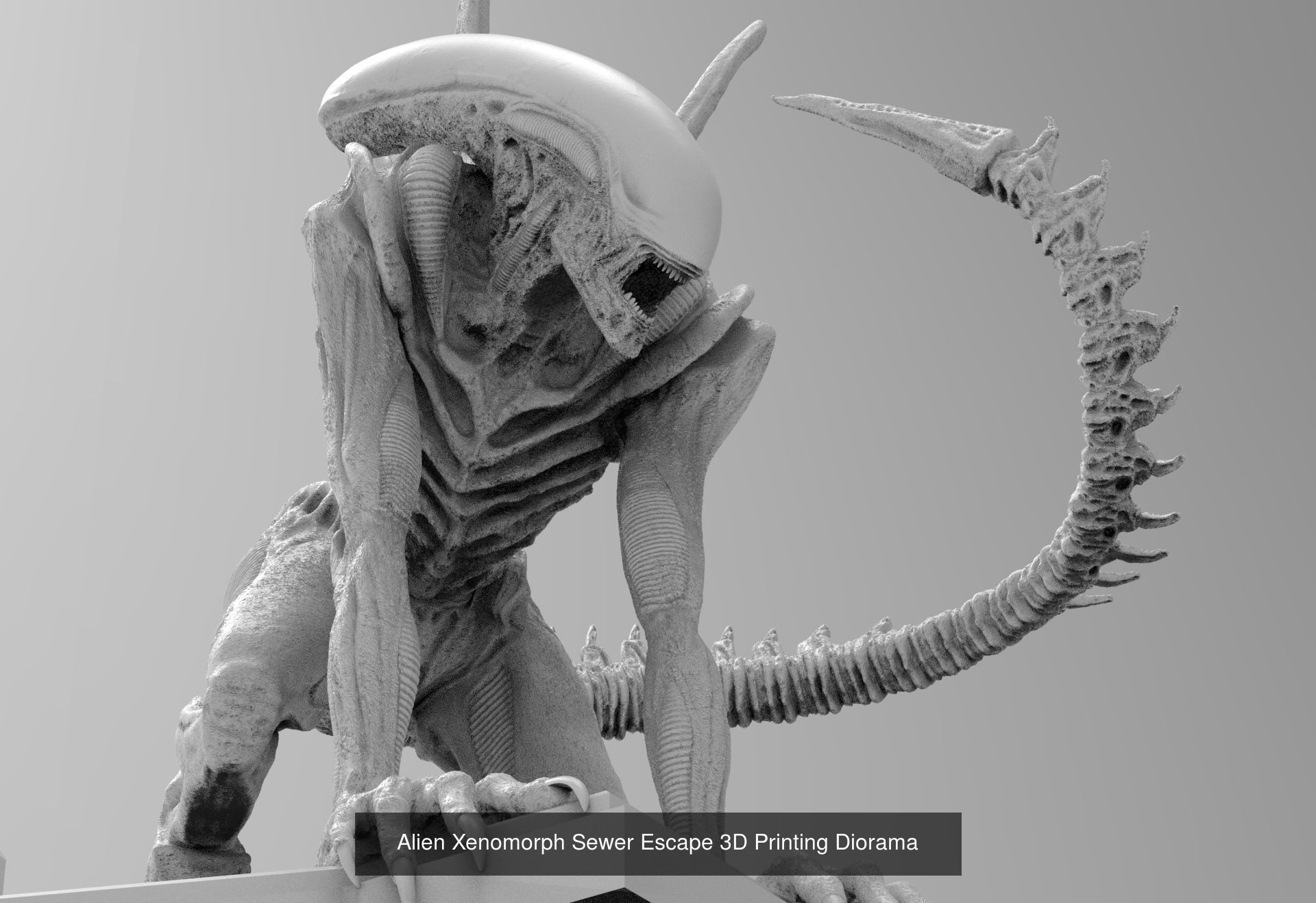 Alien Xenomorph 3D Print Collection  _16