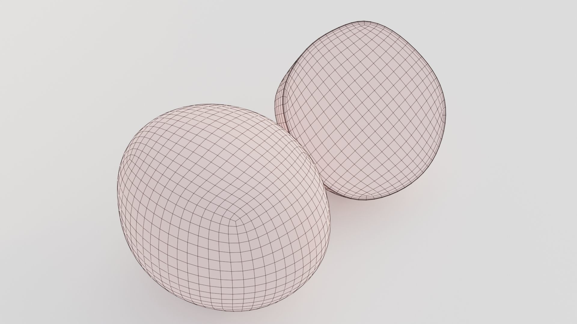 Realistic Kiwi Low-poly 3D model_5