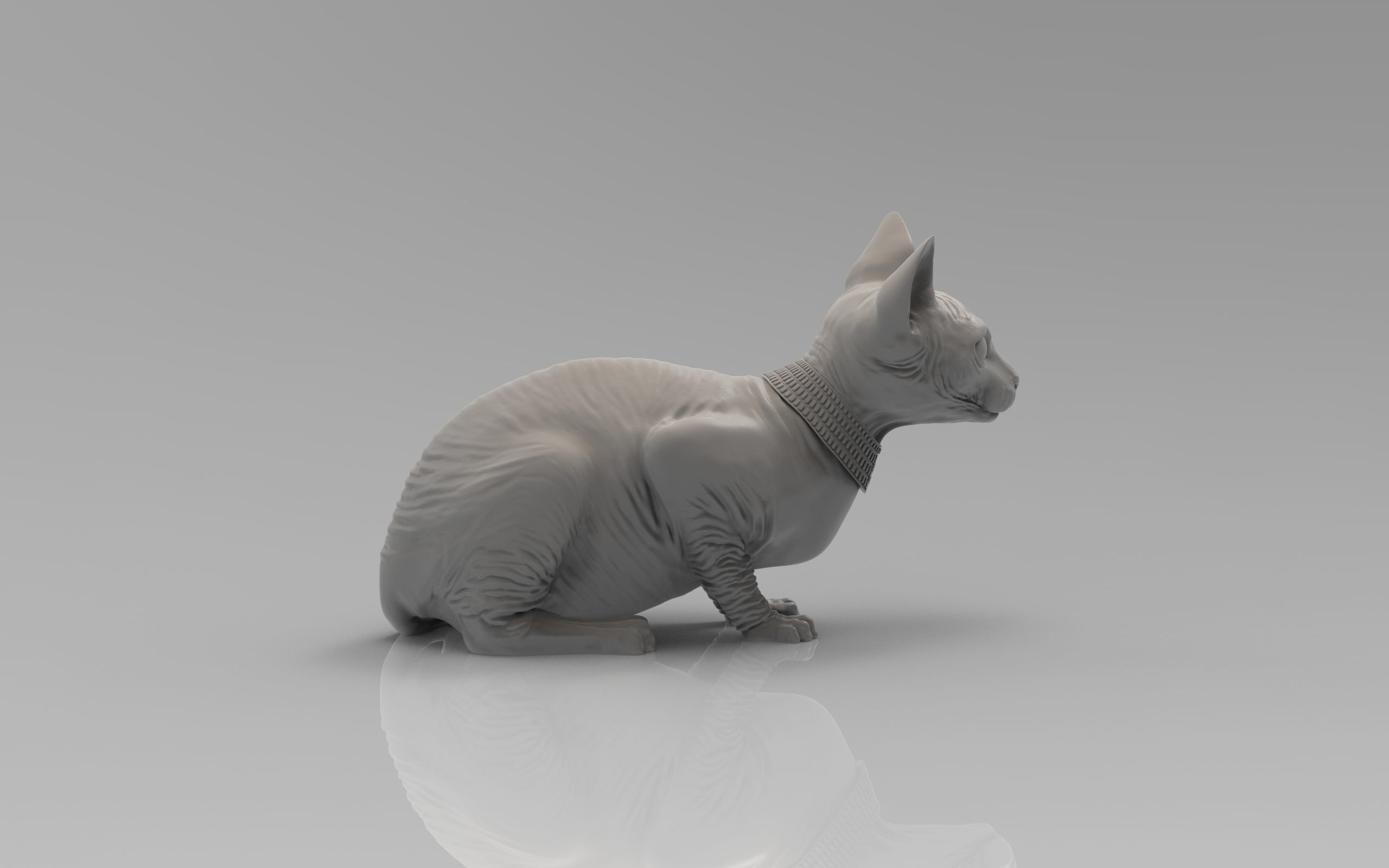 Sphynx Cat 3D print model_26