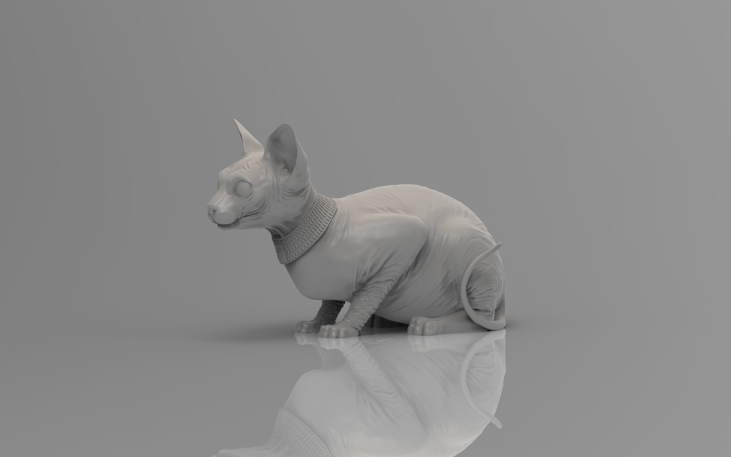 Sphynx Cat 3D print model_18