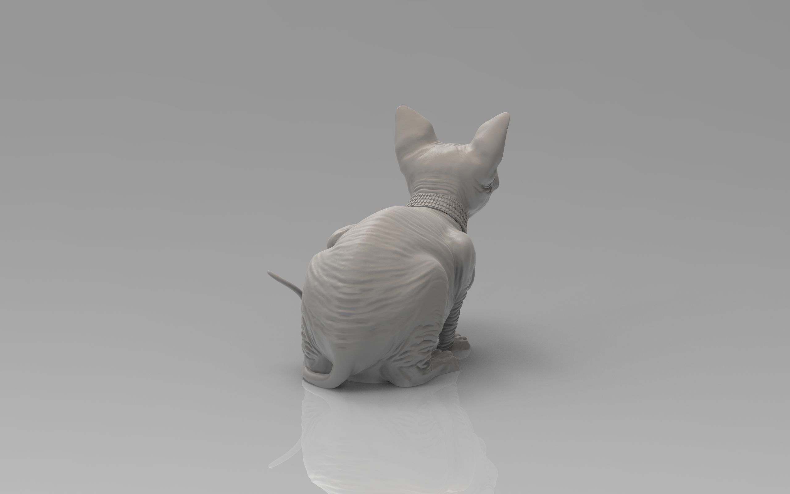Sphynx Cat 3D print model_23