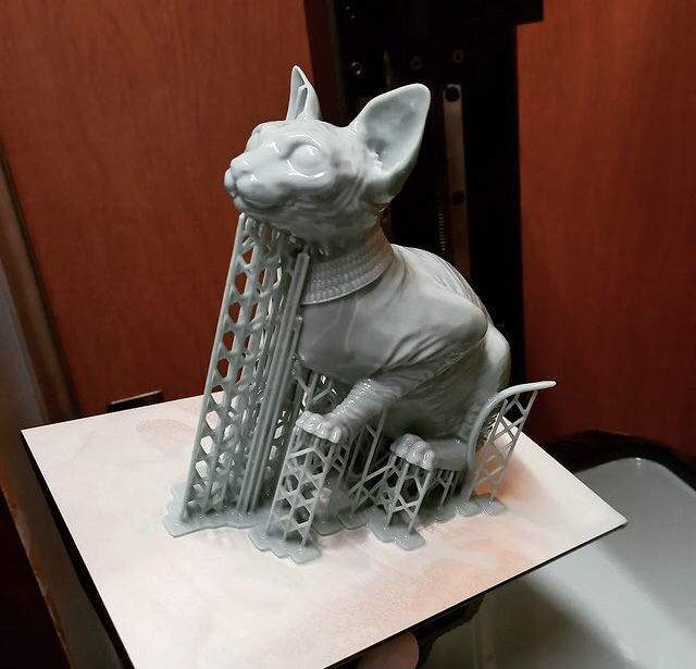 Sphynx Cat 3D print model_2