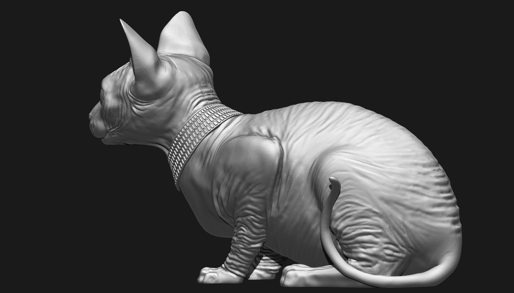 Sphynx Cat 3D print model_11