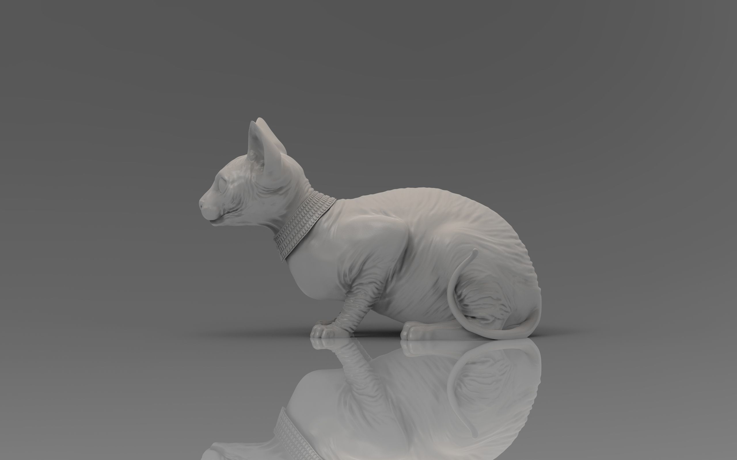Sphynx Cat 3D print model_19
