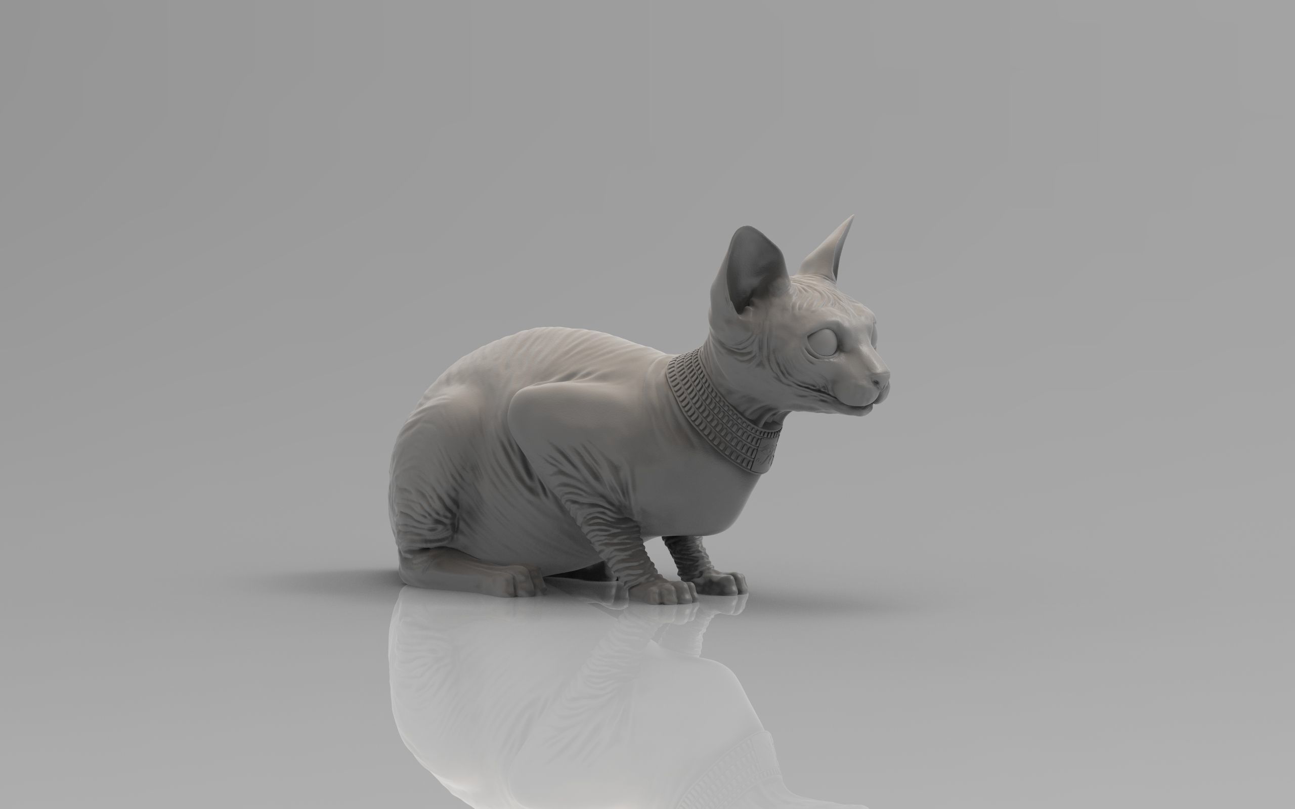 Sphynx Cat 3D print model_28