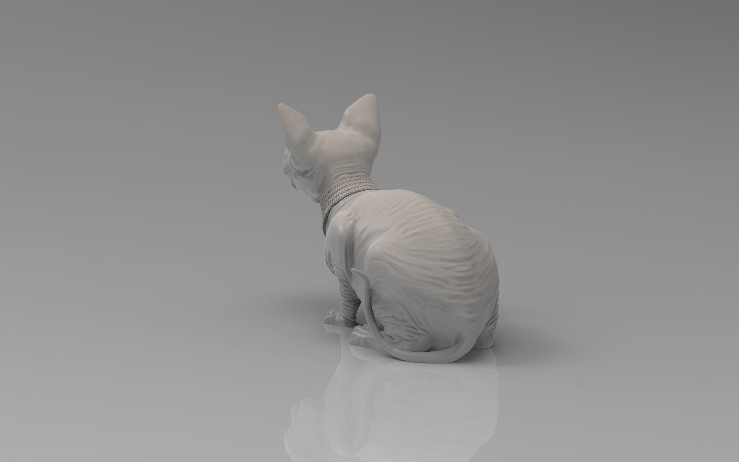 Sphynx Cat 3D print model_21
