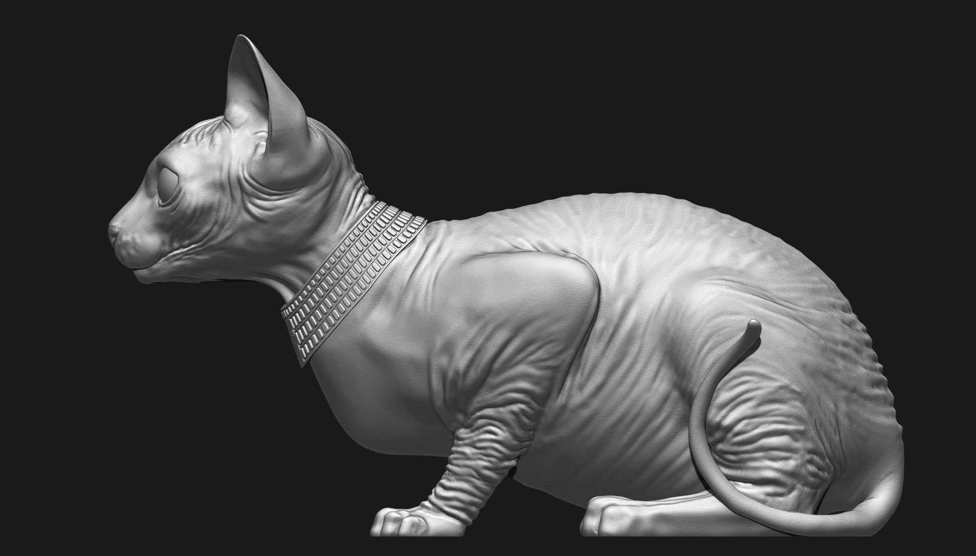 Sphynx Cat 3D print model_10