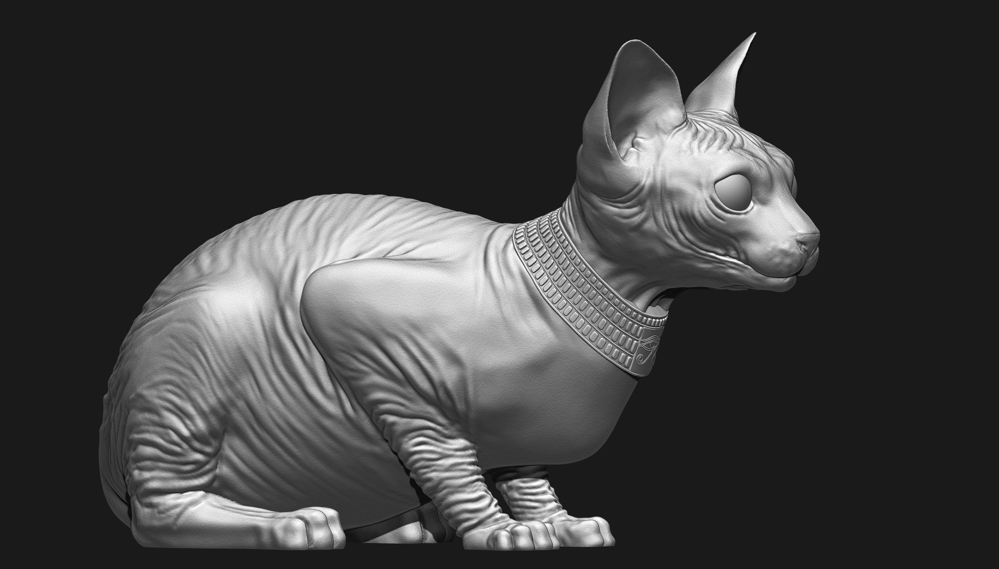 Sphynx Cat 3D print model_5
