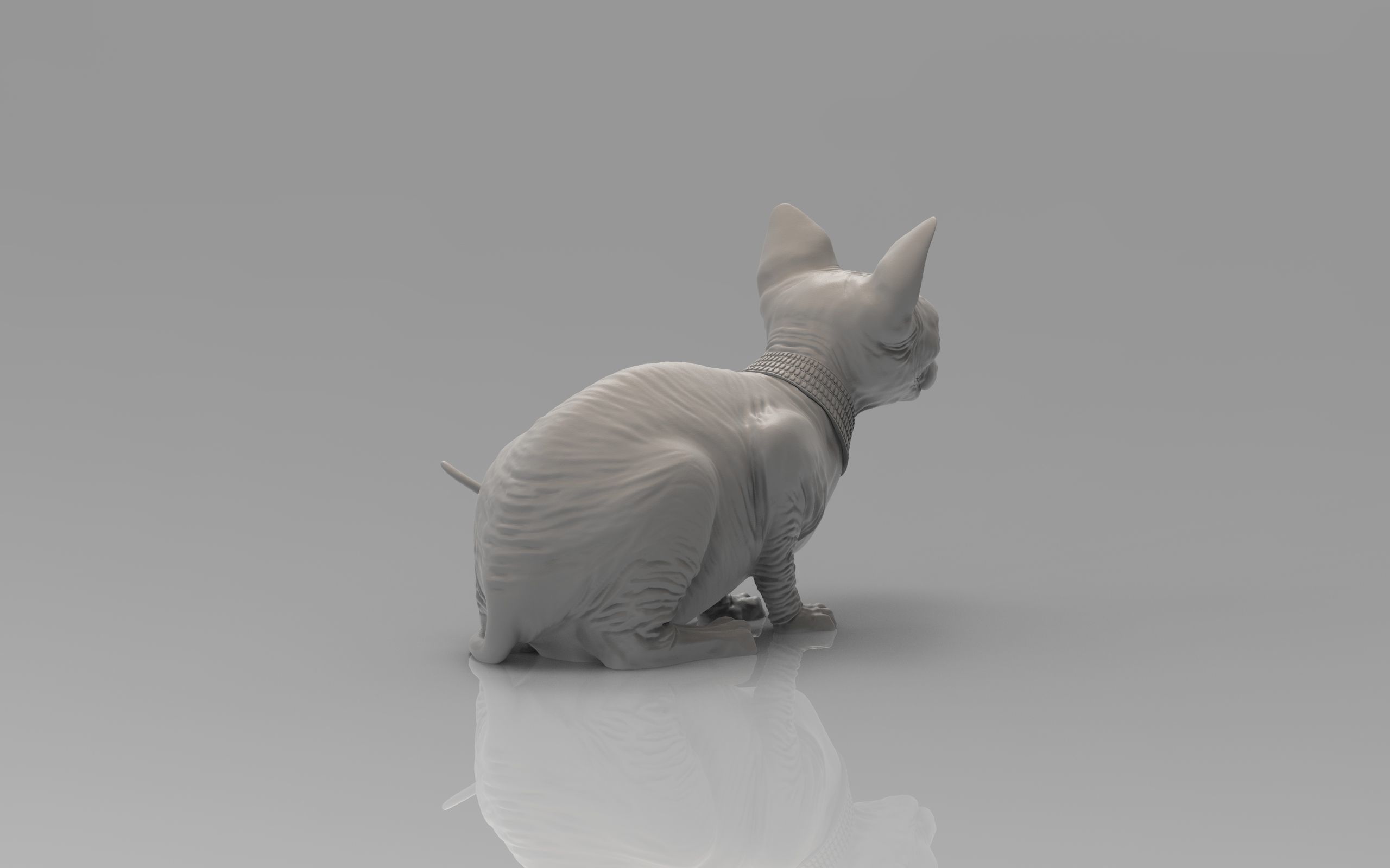Sphynx Cat 3D print model_24
