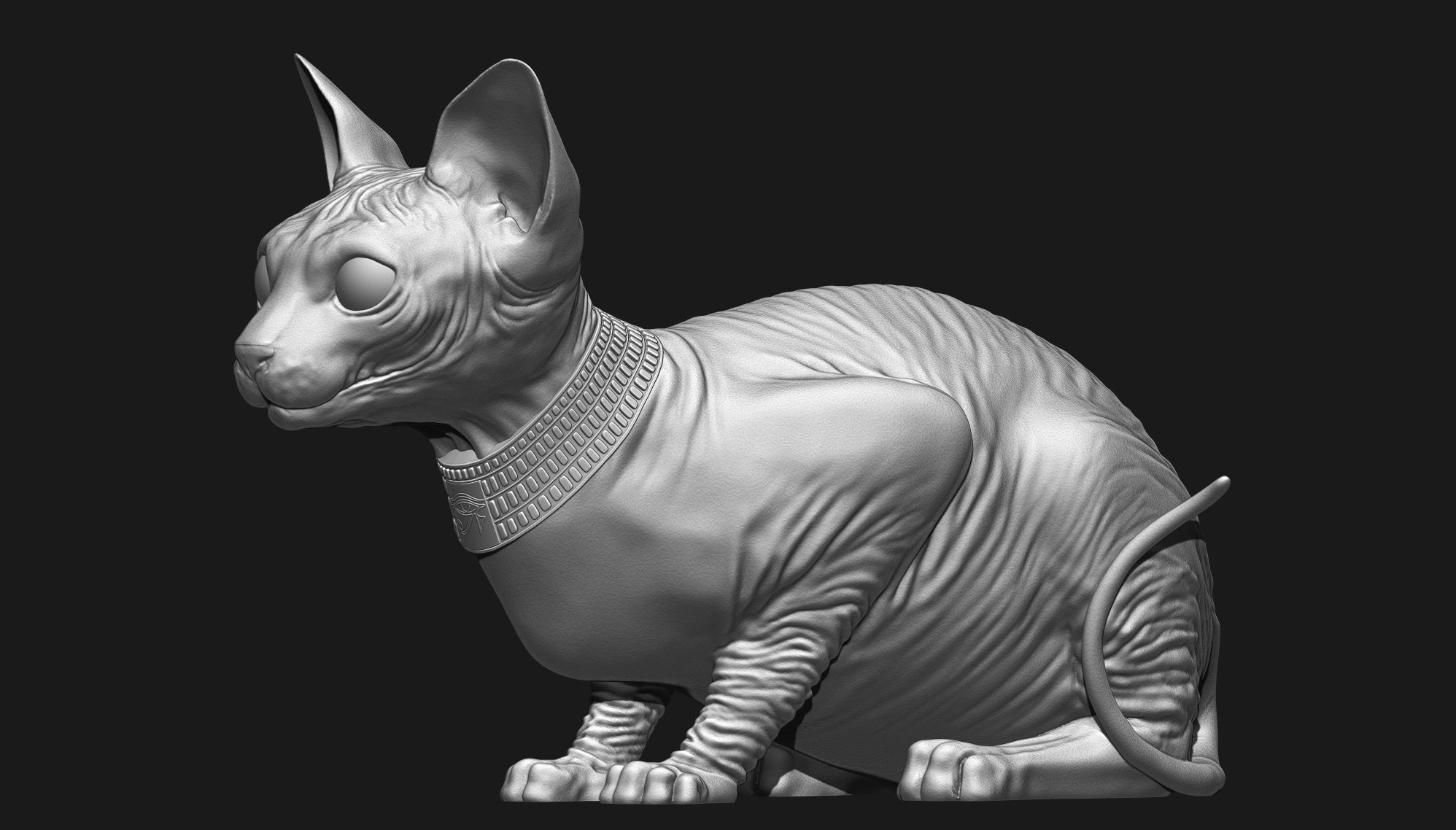Sphynx Cat 3D print model_9