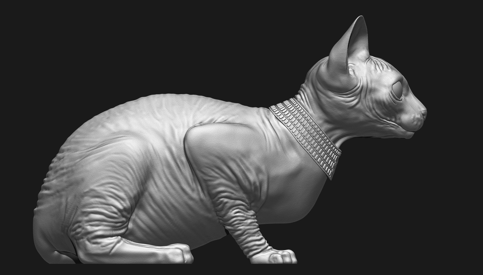Sphynx Cat 3D print model_4