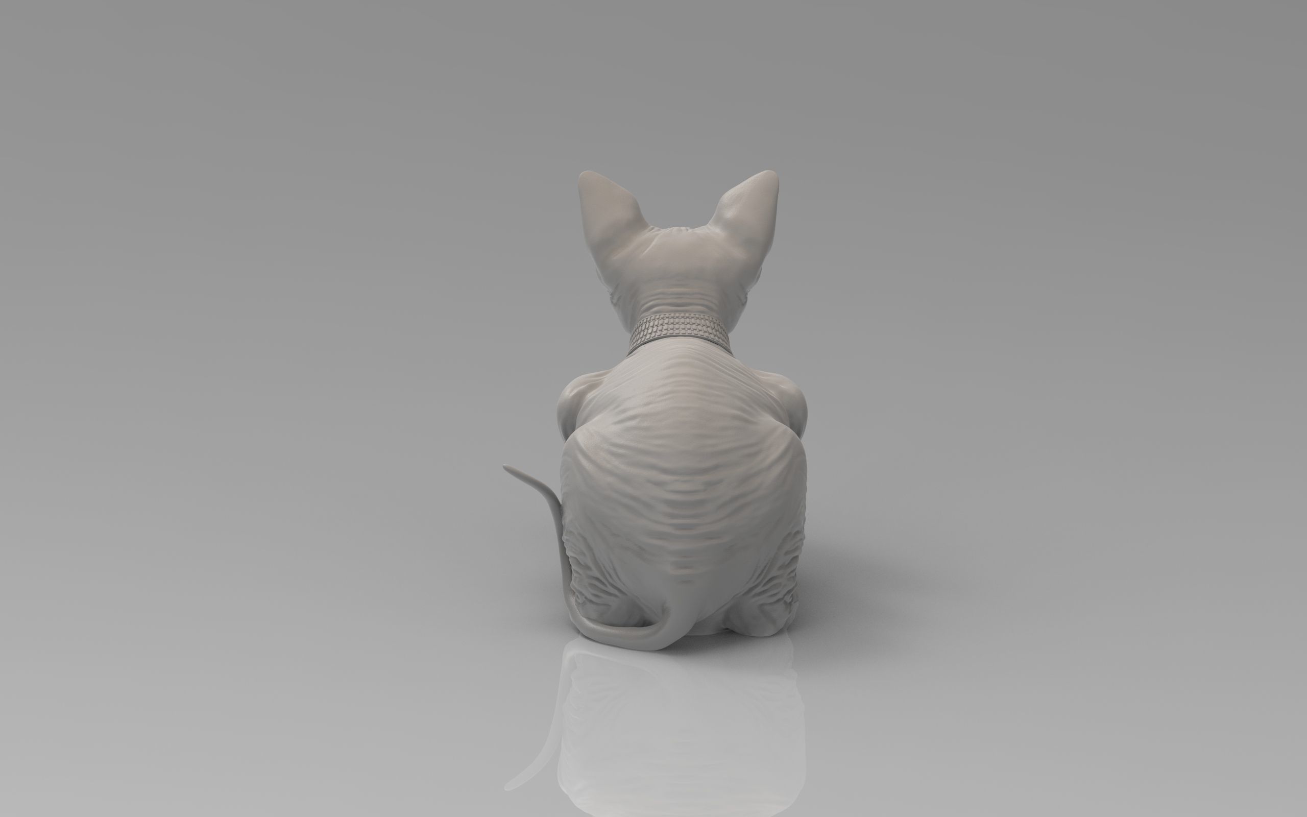 Sphynx Cat 3D print model_22