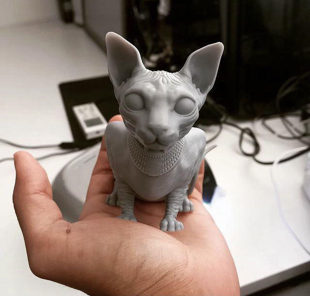 Sphynx Cat 3D print model_1