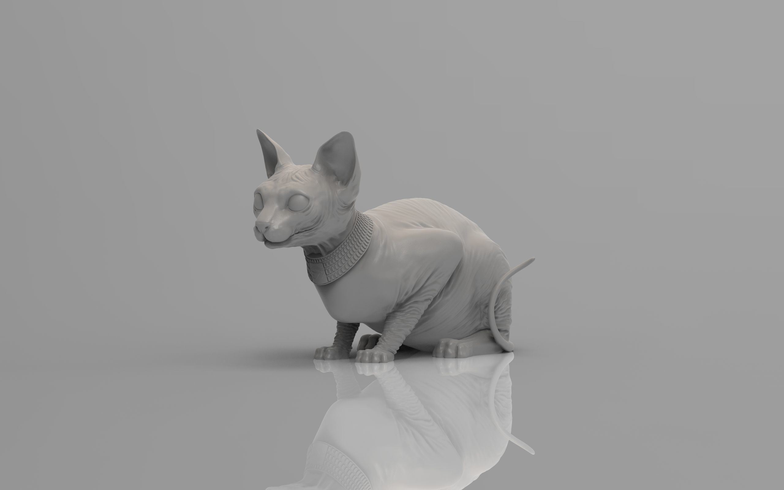 Sphynx Cat 3D print model_17