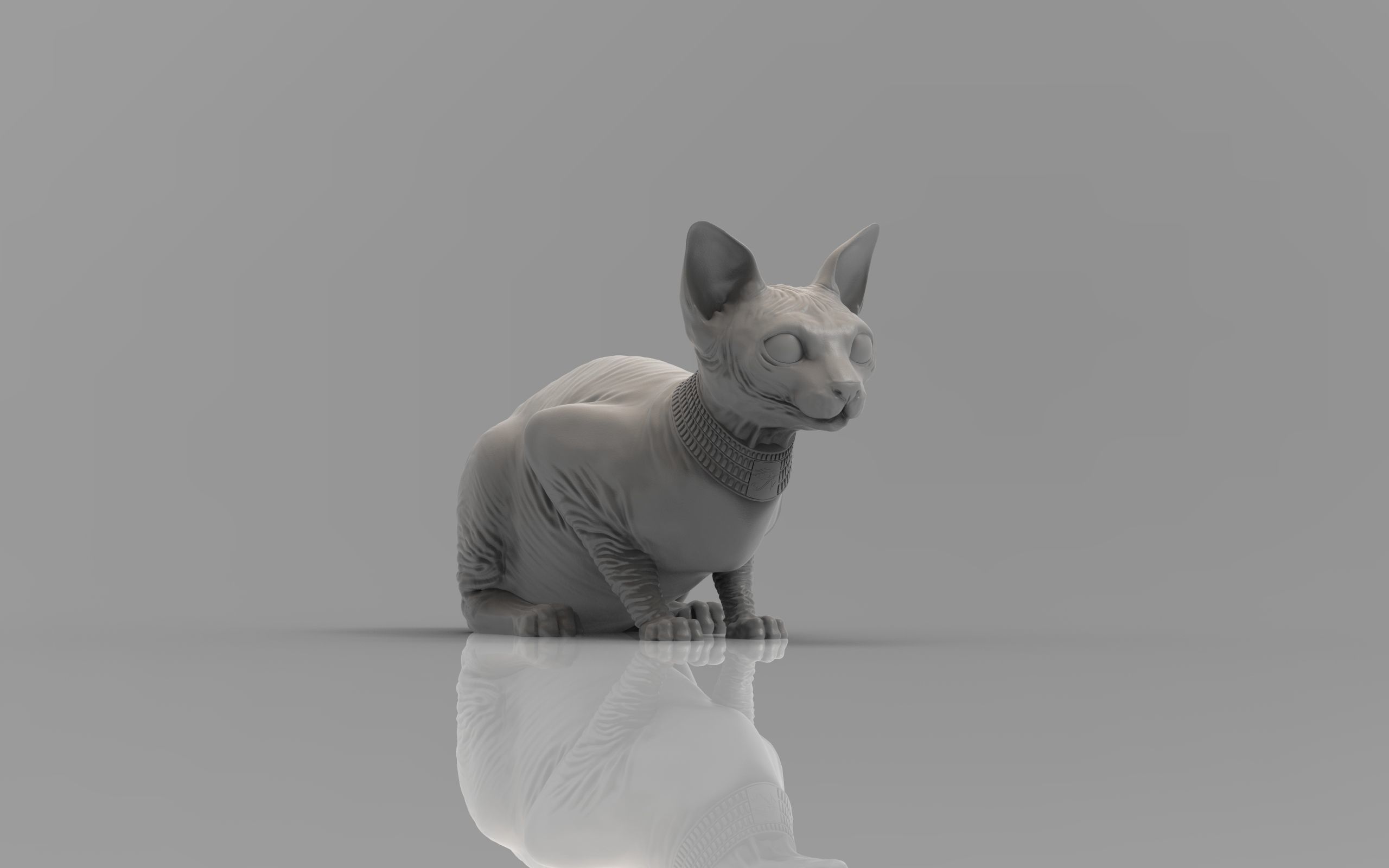 Sphynx Cat 3D print model_29
