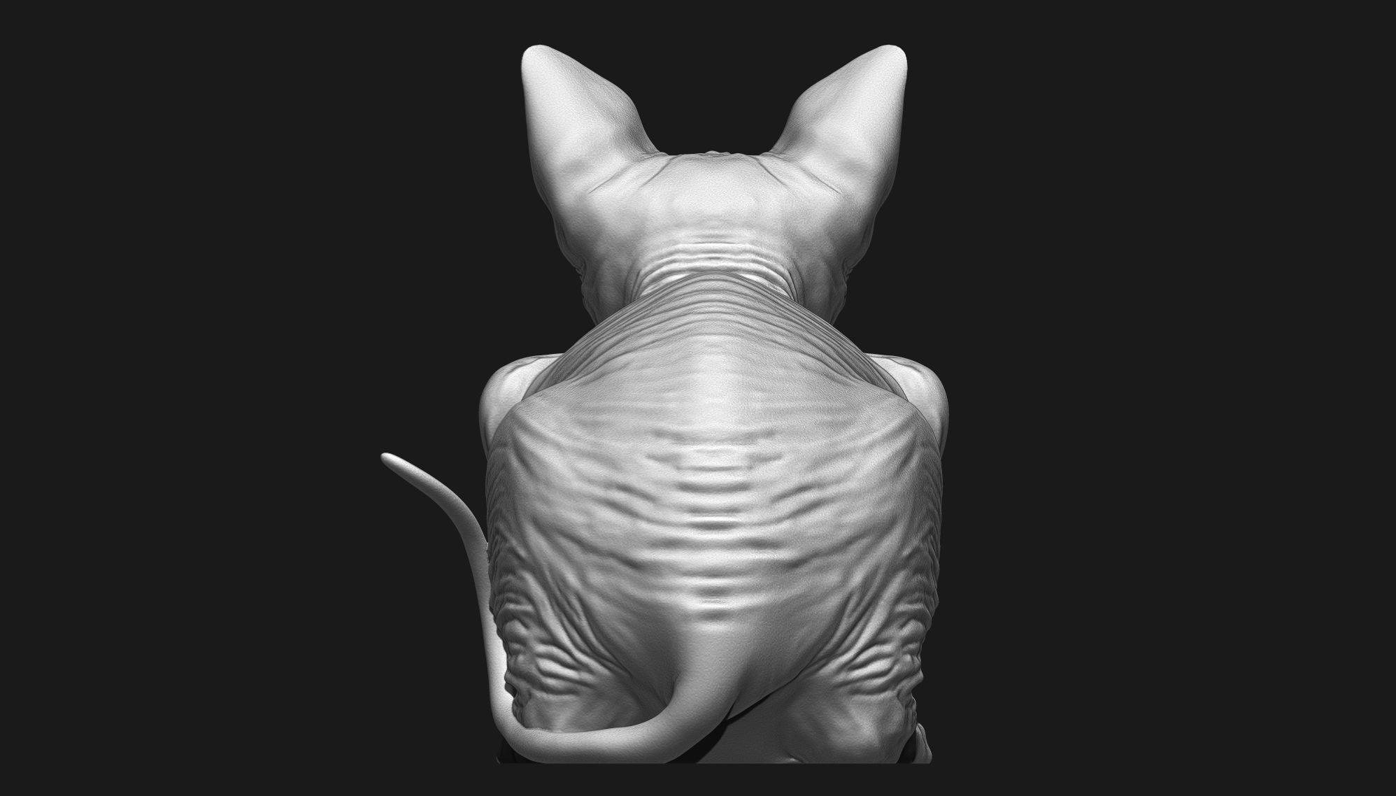 Sphynx Cat 3D print model_13