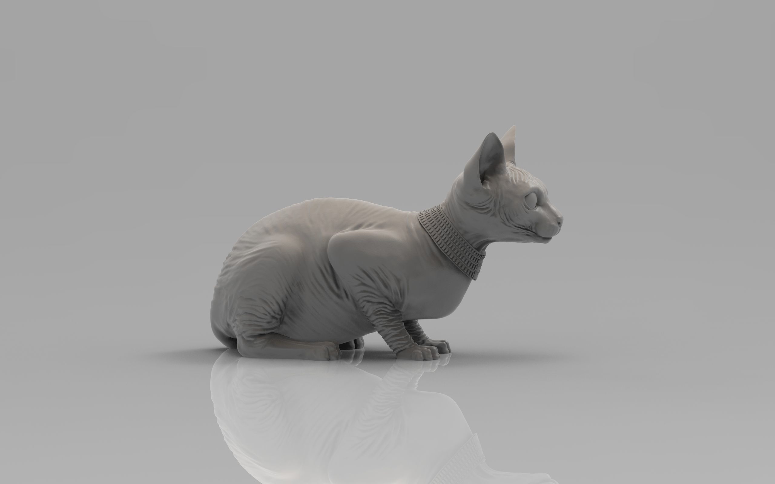 Sphynx Cat 3D print model_27