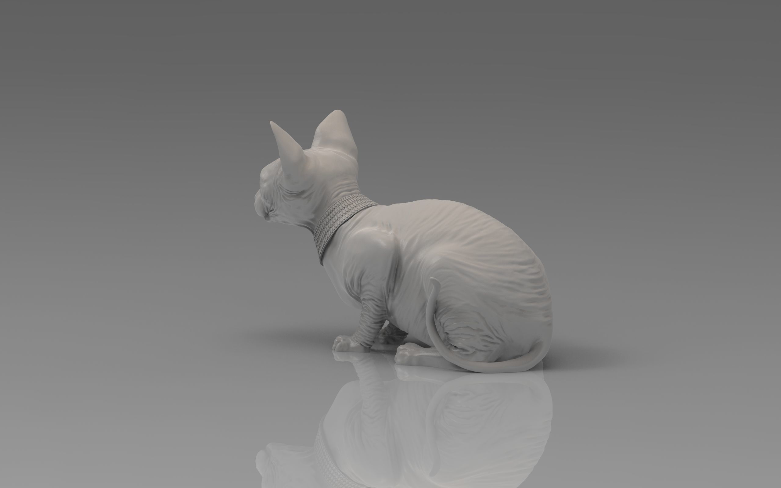 Sphynx Cat 3D print model_20