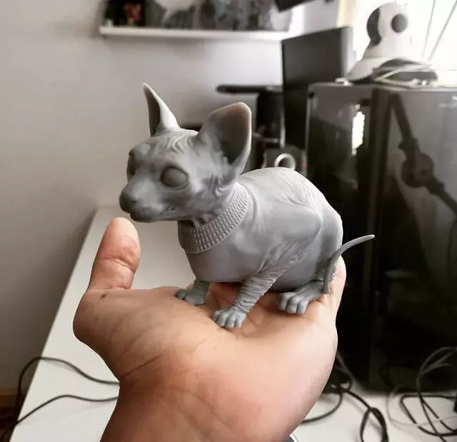 Sphynx Cat 3D print model_0