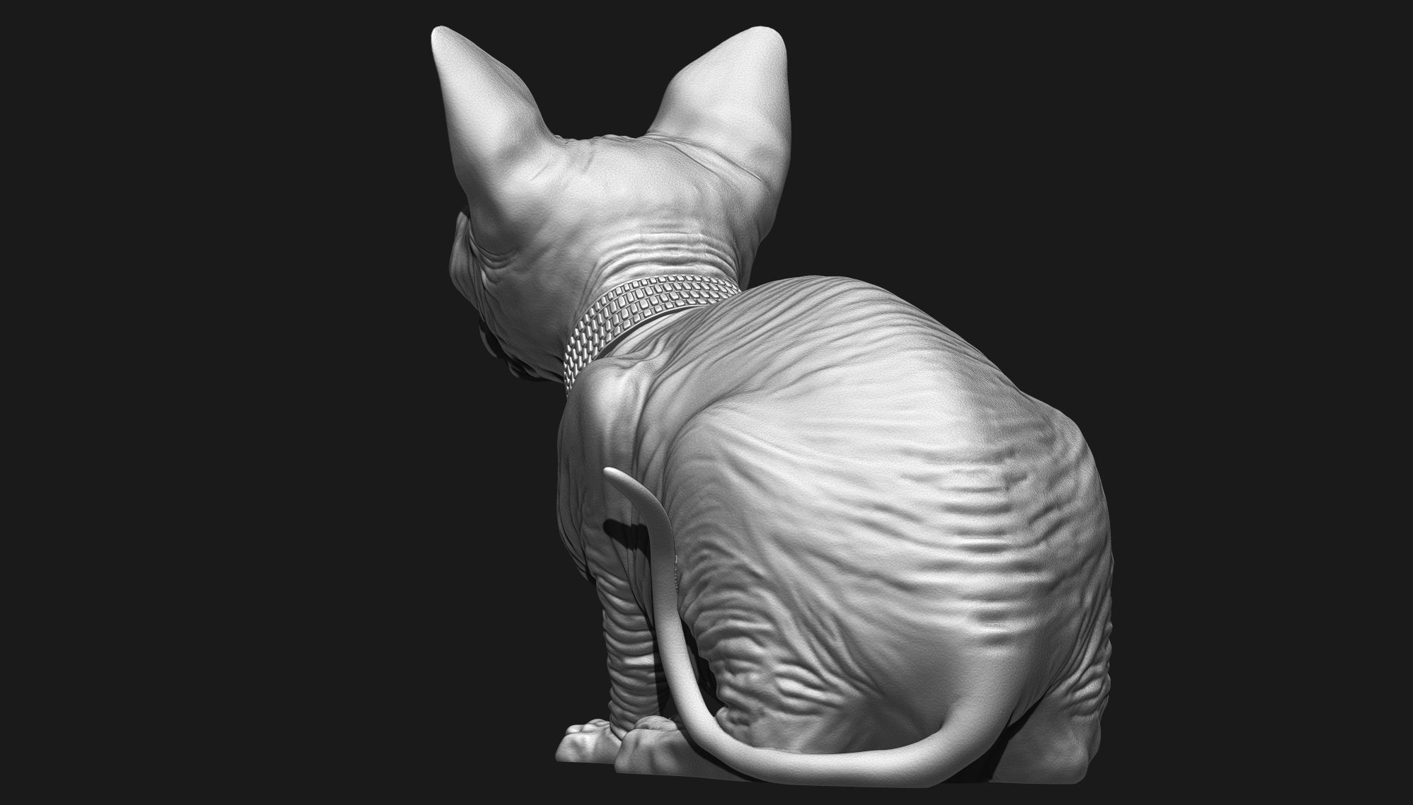 Sphynx Cat 3D print model_12