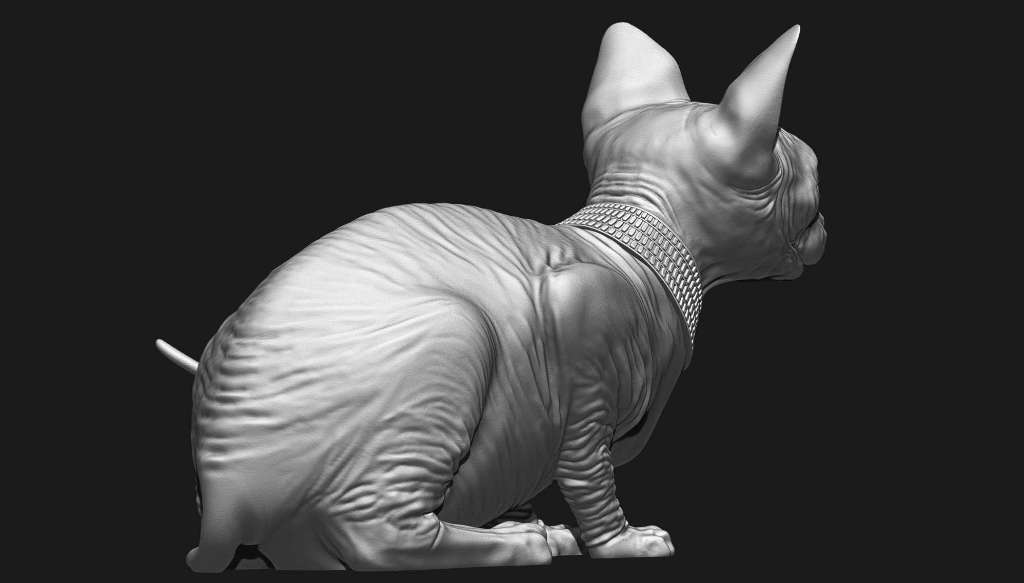 Sphynx Cat 3D print model_15
