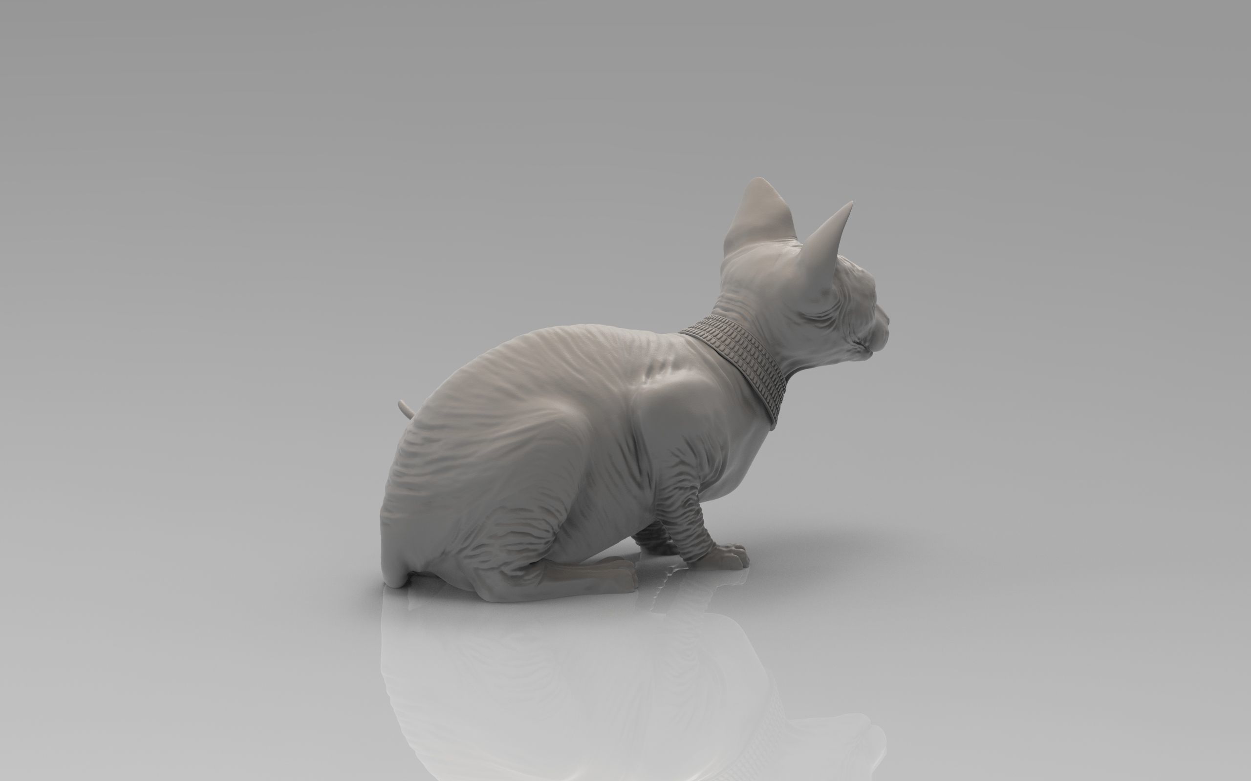 Sphynx Cat 3D print model_25