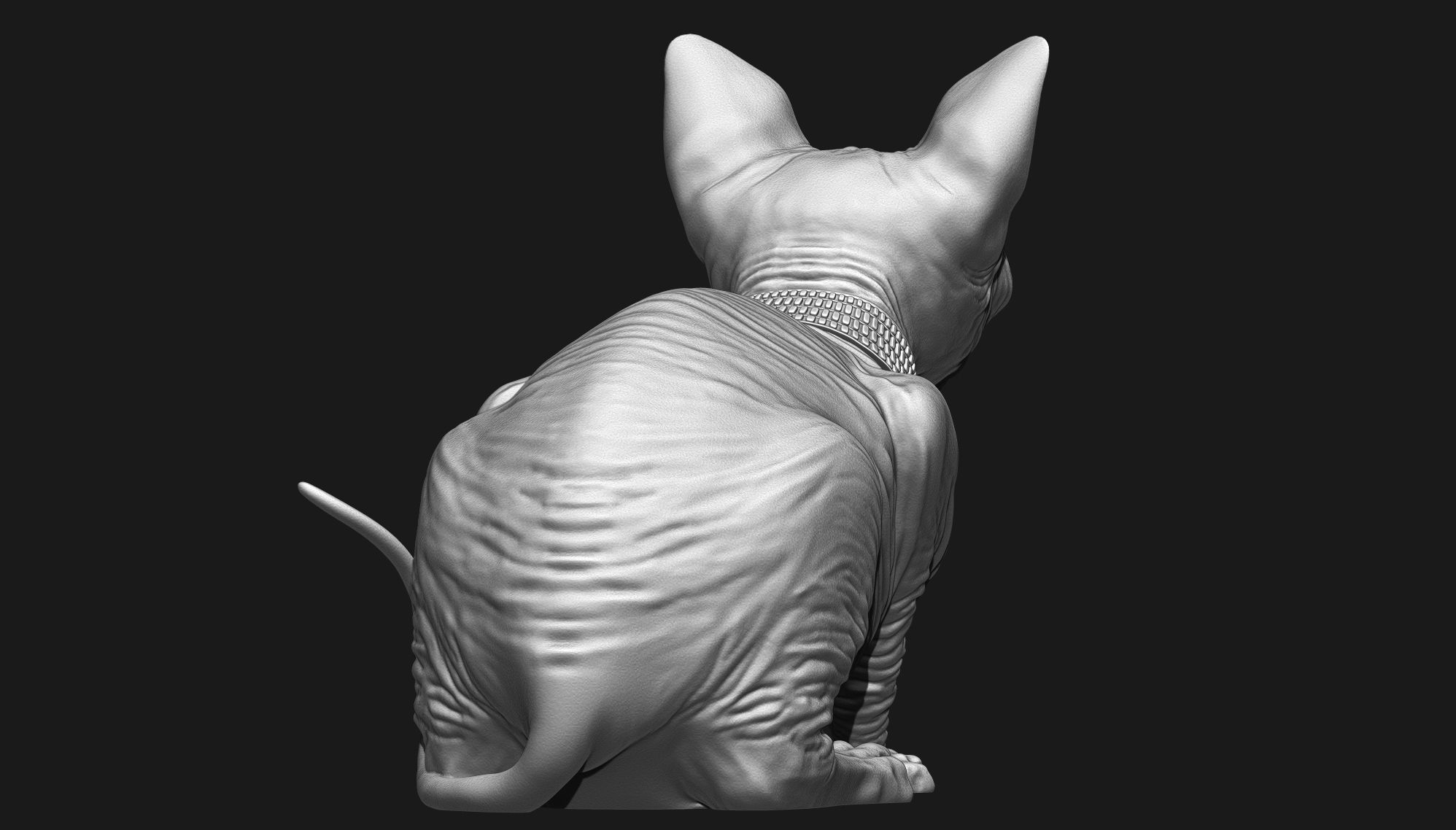 Sphynx Cat 3D print model_14