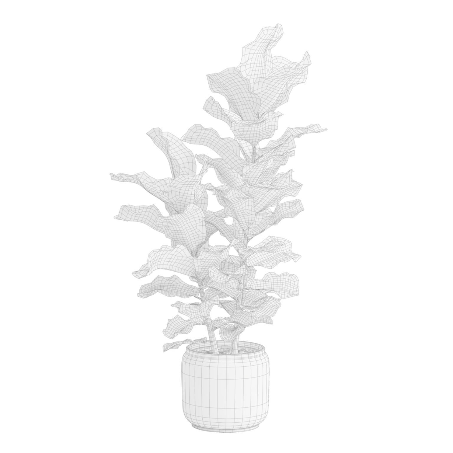 Ficuses Pack 3D model_8