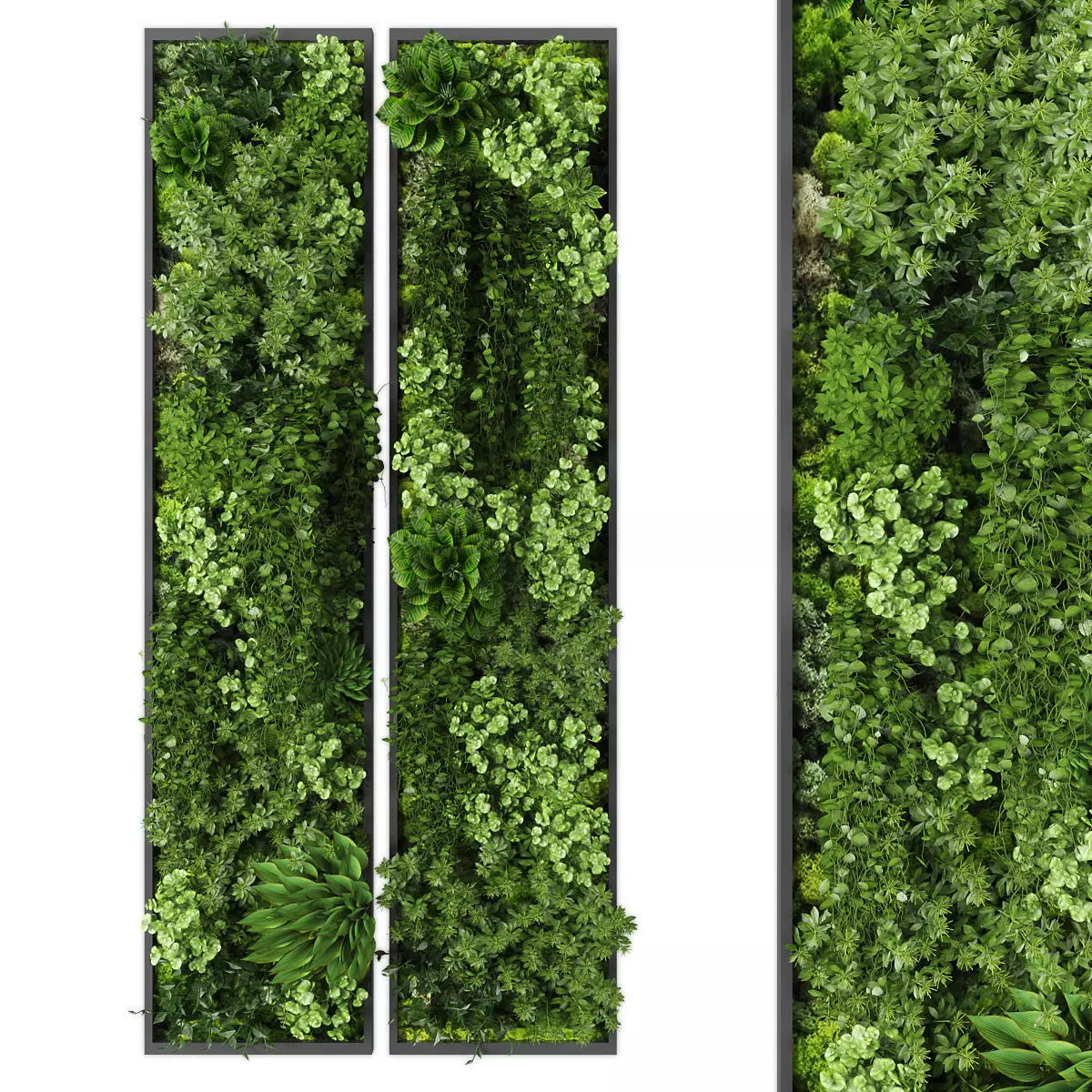 Vertical garden 225 Low-poly 3D model