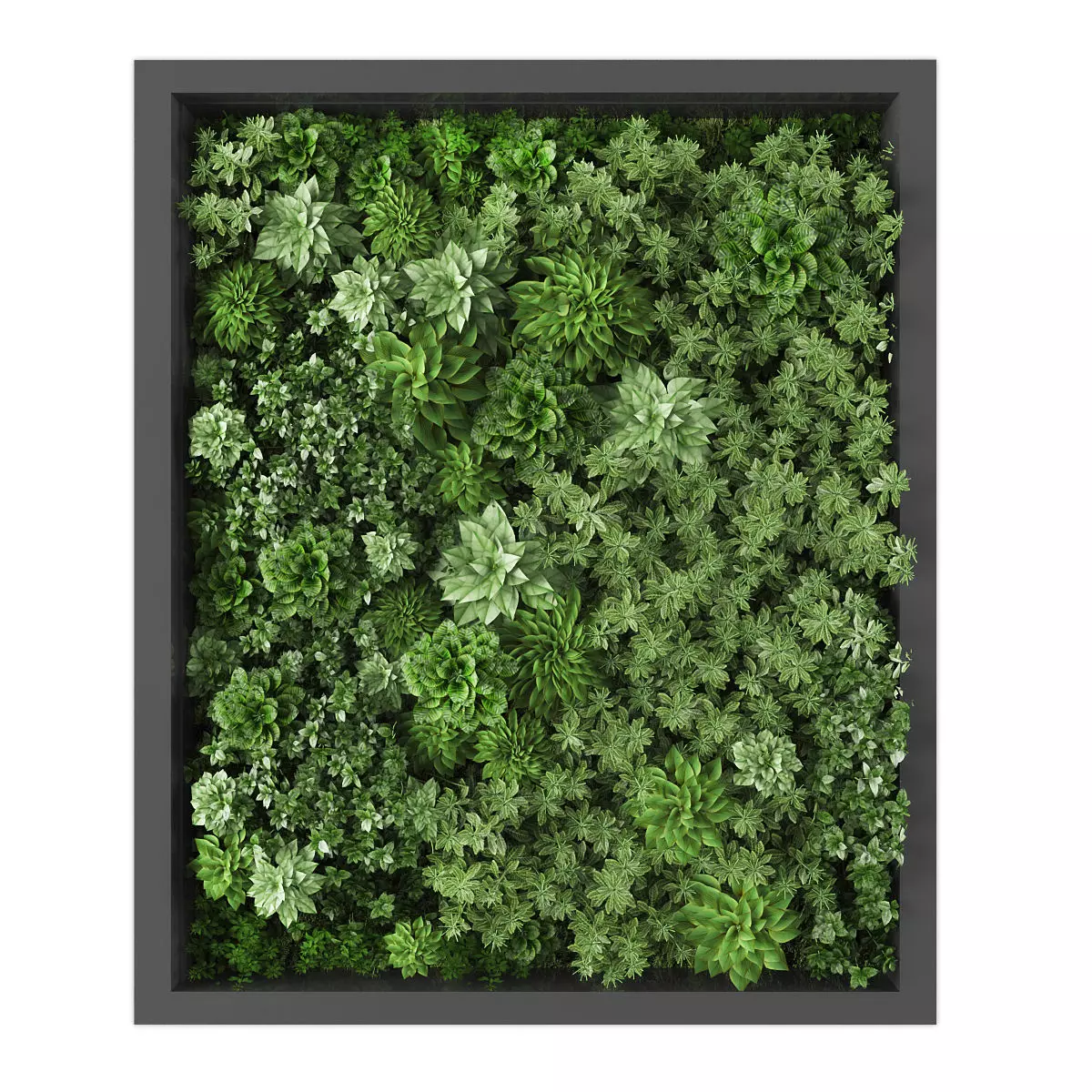 Vertical garden 226 Low-poly 3D model_0