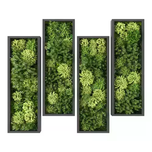 Vertical garden 227