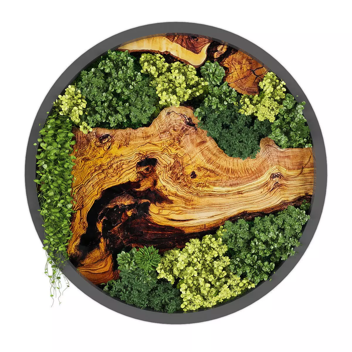 Vertical garden 228 Low-poly 3D model_0