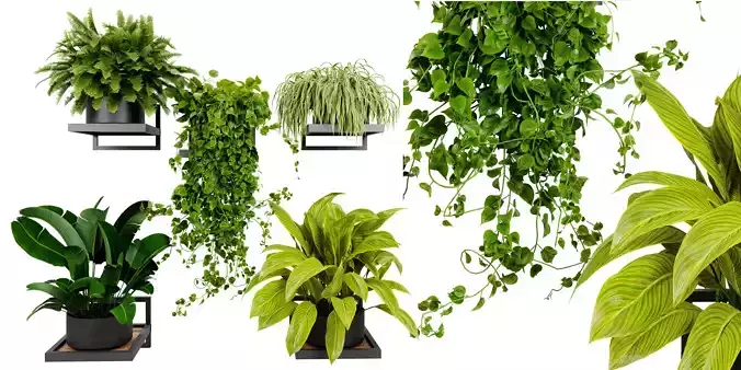 Collection plant vol 516 - blender model 3D model