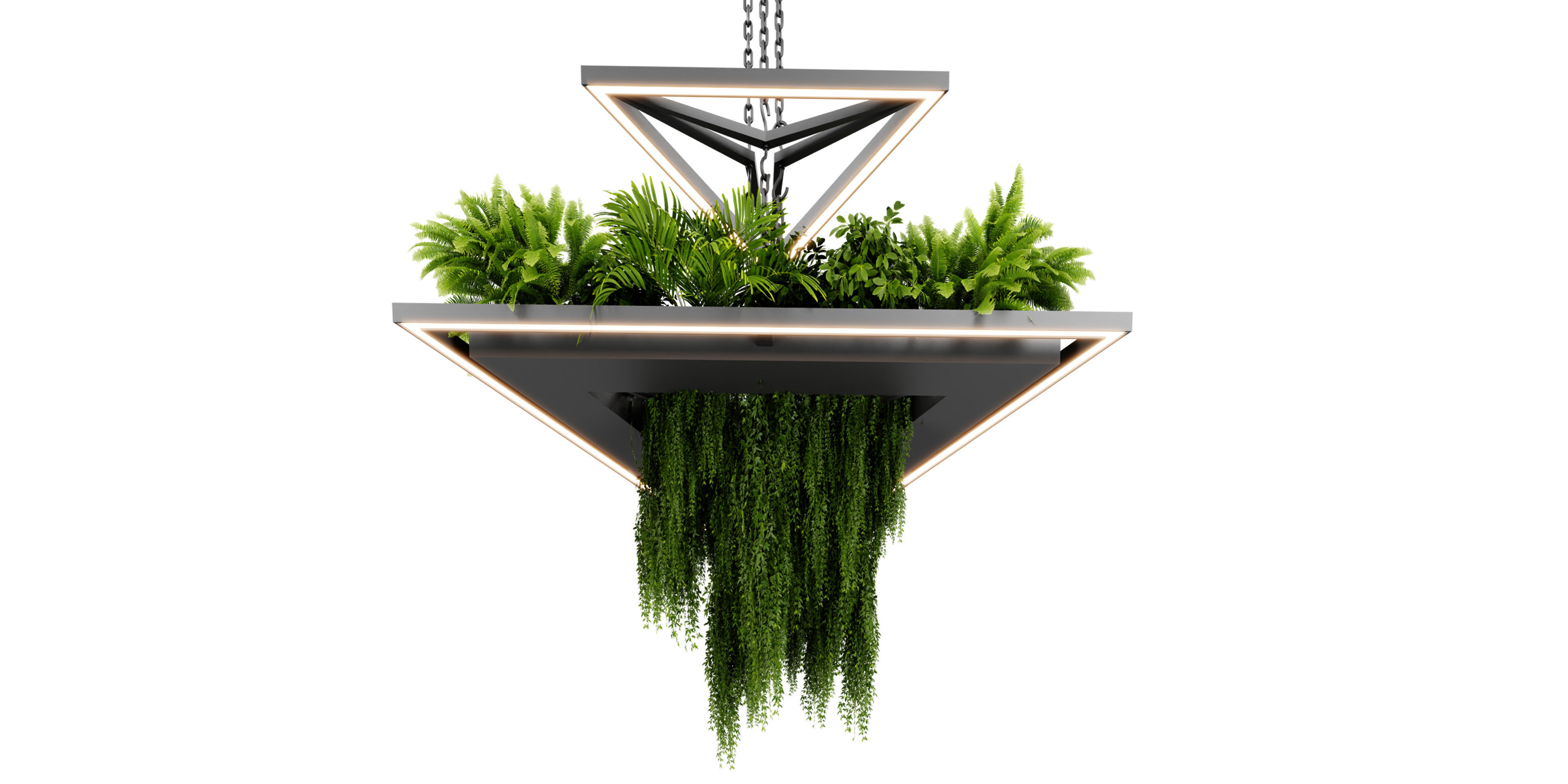  Collection plant vol 517 - blender model  3D model_1