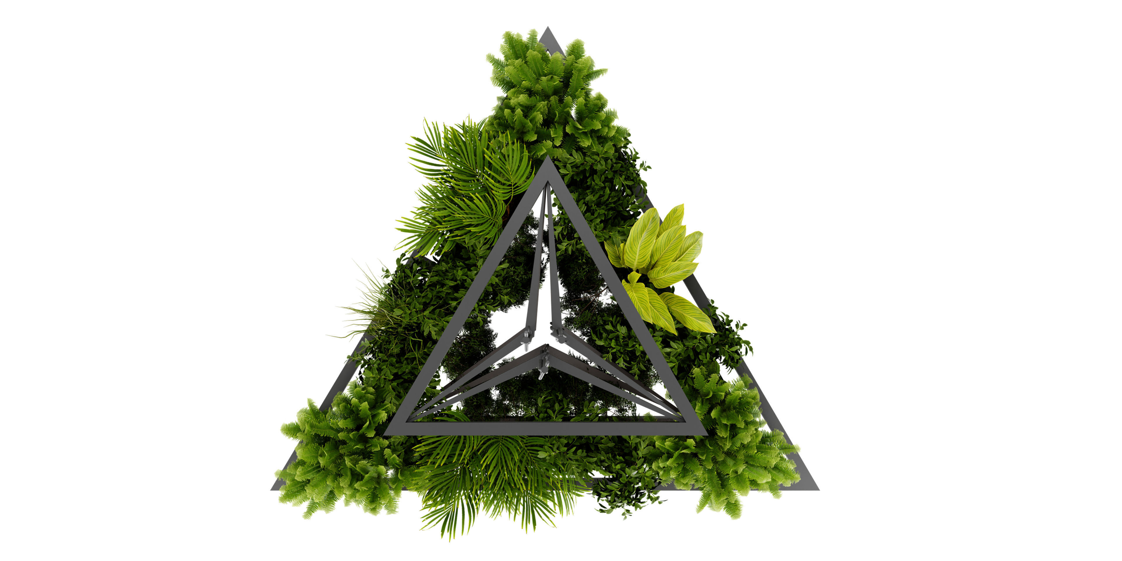  Collection plant vol 517 - blender model  3D model_5