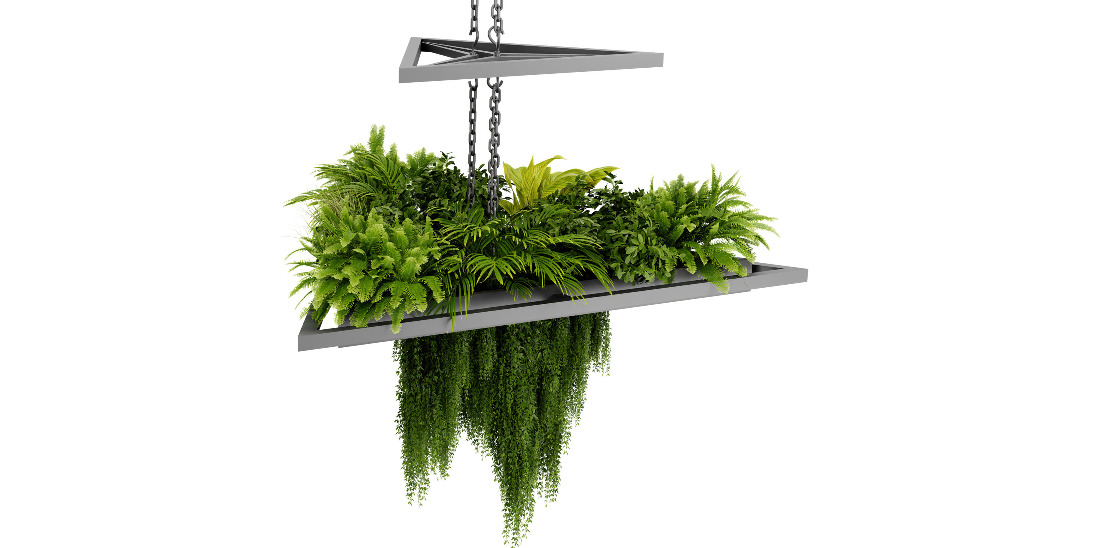  Collection plant vol 517 - blender model  3D model_4