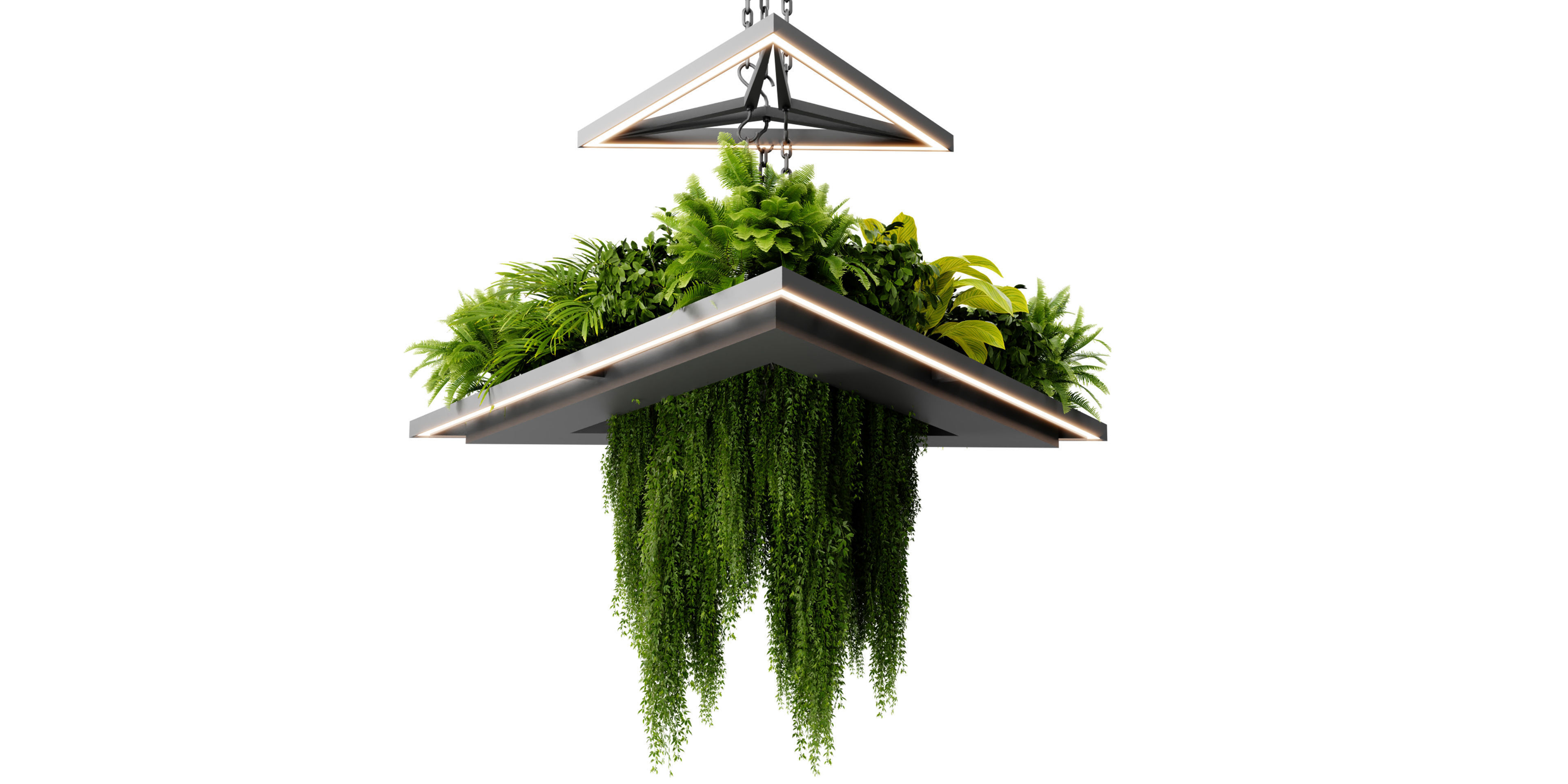  Collection plant vol 517 - blender model  3D model_2