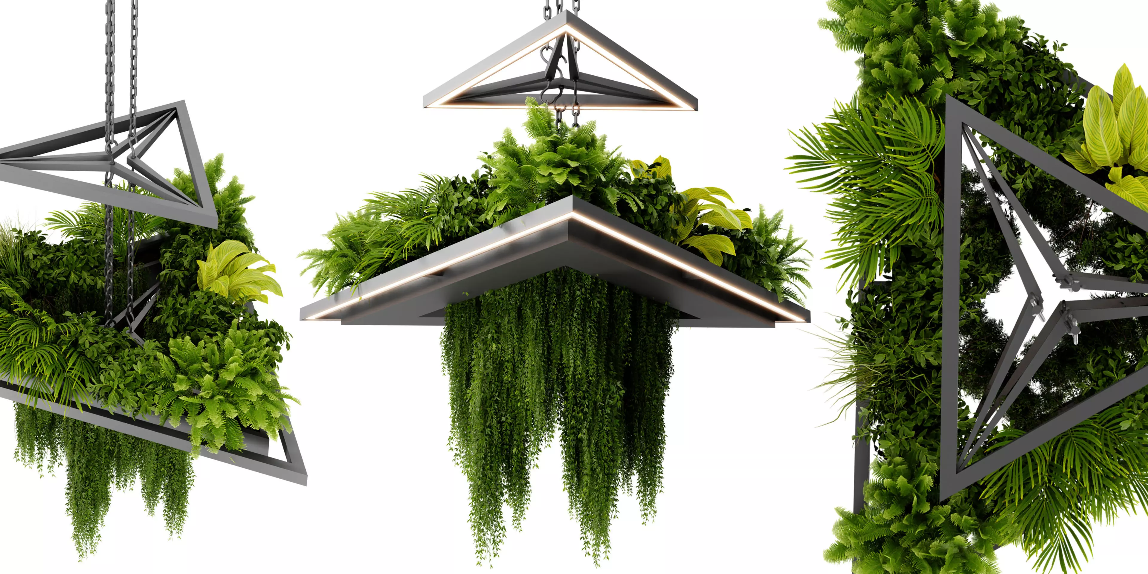  Collection plant vol 517 - blender model  3D model_0